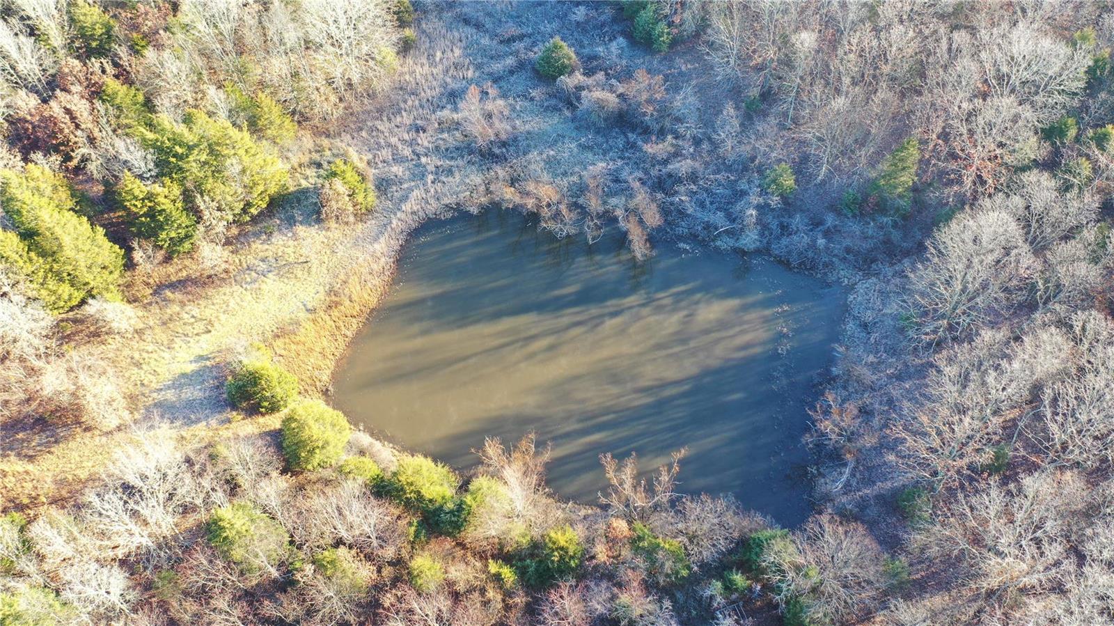 Homes for sale in Salem, MO | 0 Tbd Hwy N, Salem, MO 65560 | MLS# 24076959