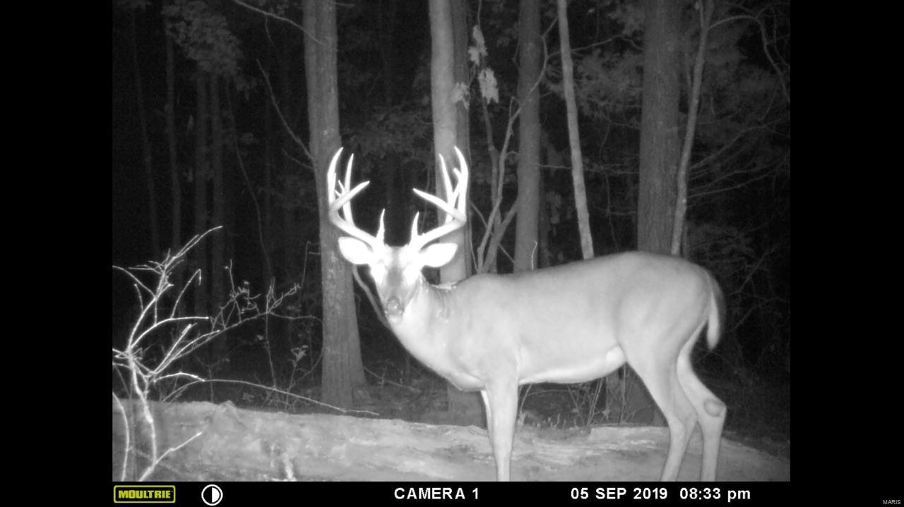 Homes for sale in Salem, MO | 0 Tbd Hwy N, Salem, MO 65560 | MLS# 24076959