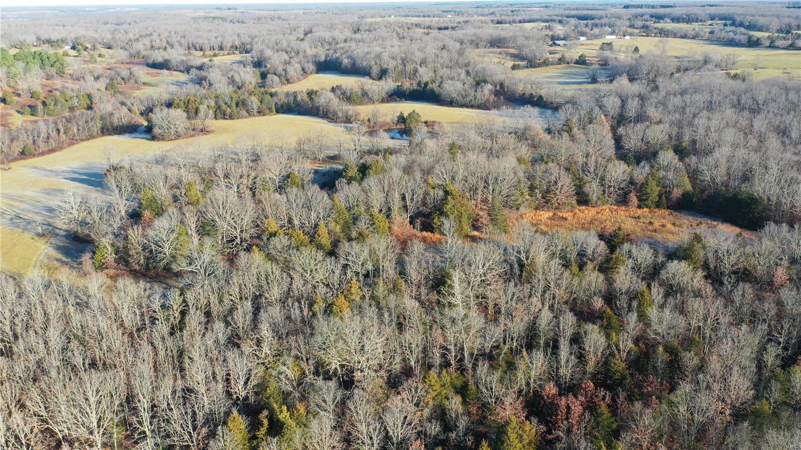 Homes for sale in Salem, MO | 0 Tbd Hwy N, Salem, MO 65560 | MLS# 24076959