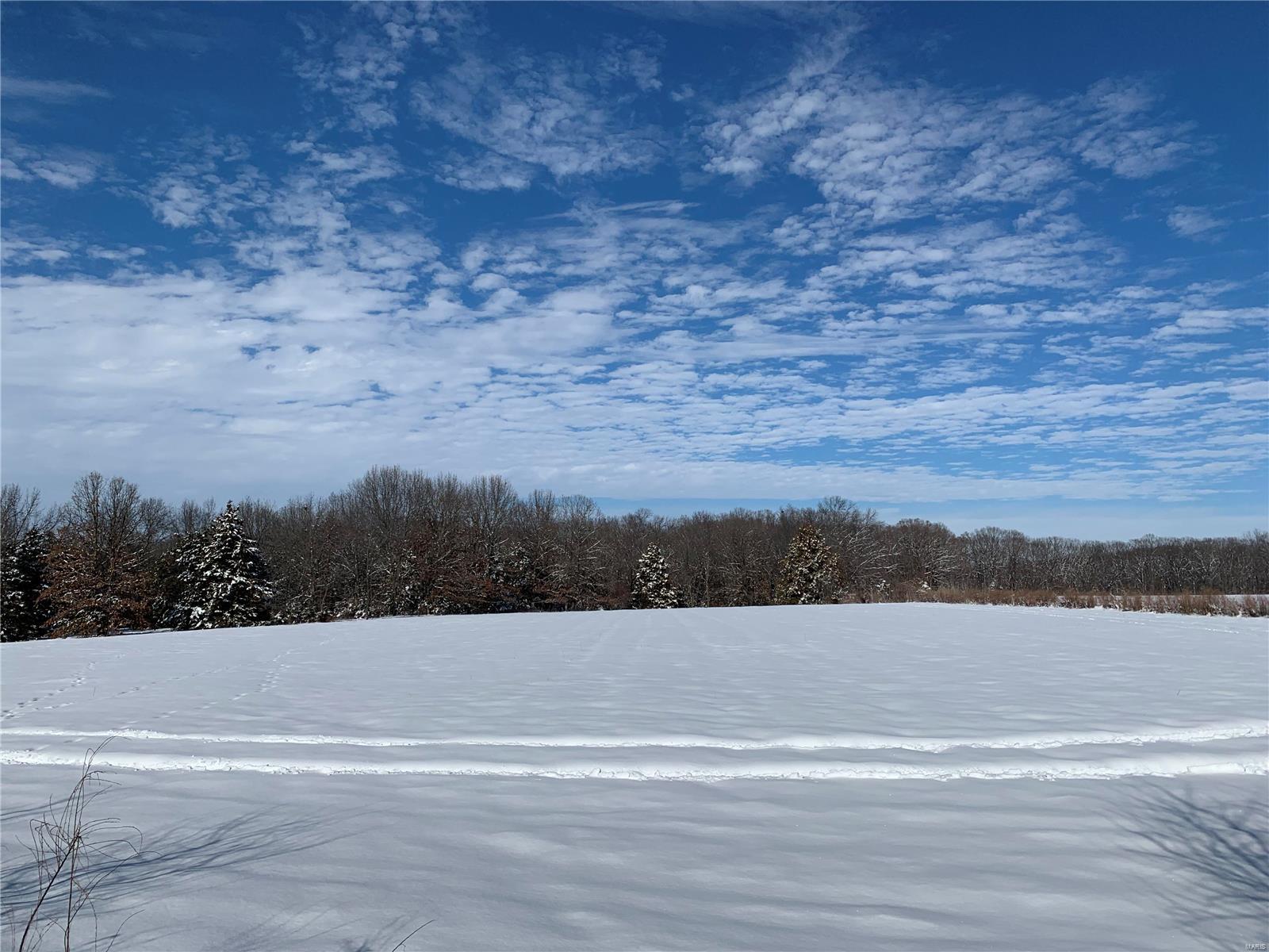 Photo 59 of Single family home for sale at 113 Big Bird Rd, Montgomery City, MO 63361 | MLS# 25000745 | Listing updated on 2025-01-15