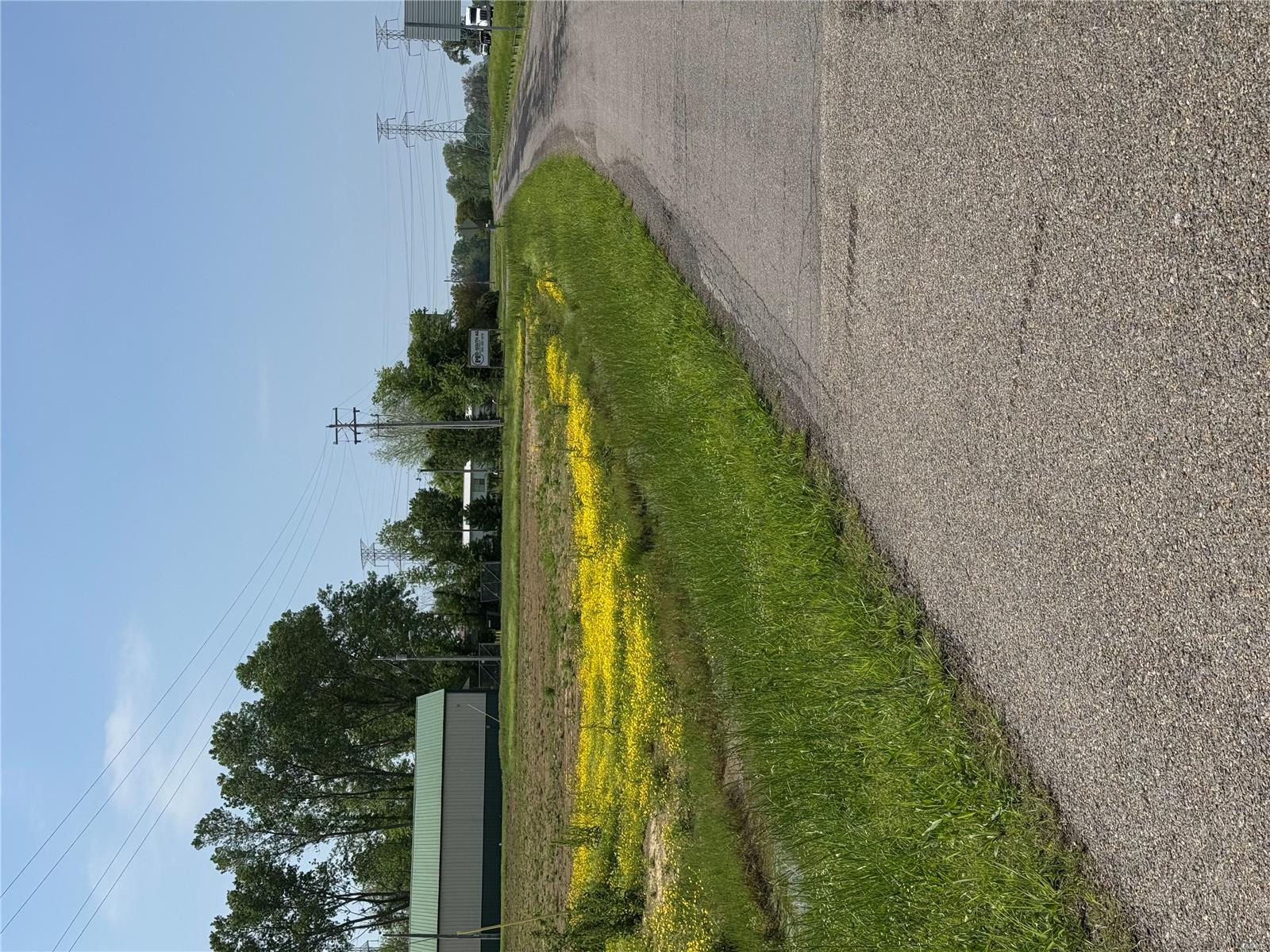 Homes for sale in Marston, MO | 0 I55 Outer Road, Marston, MO 63866 | MLS# 25008508