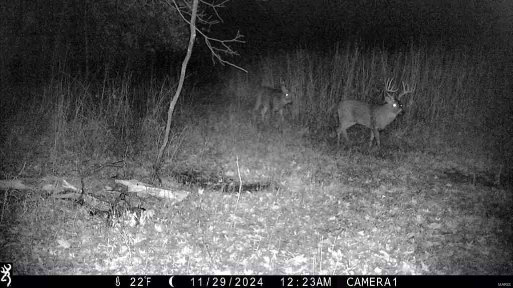 Homes for sale in Benton, MO | 0 Hwy J & Cr 207, Benton, MO 64643 | MLS# 25009667