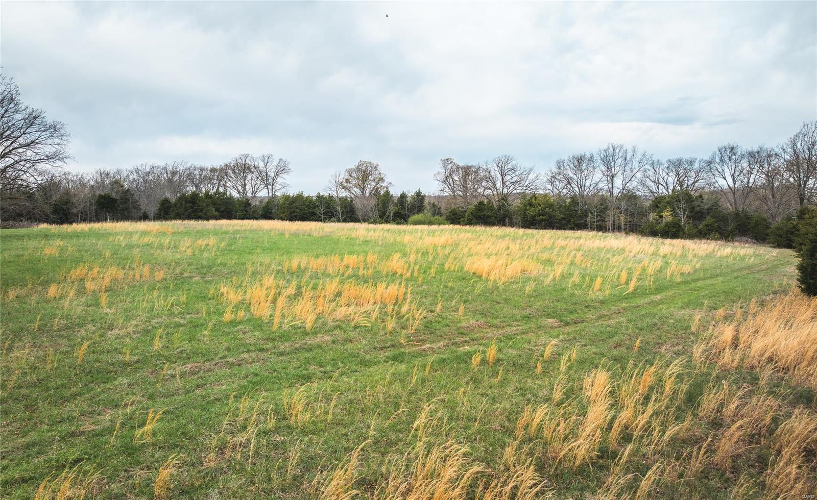 Homes for sale in Dixon, MO | 273 Hwy 42, Dixon, MO 65459 | MLS# 25022043