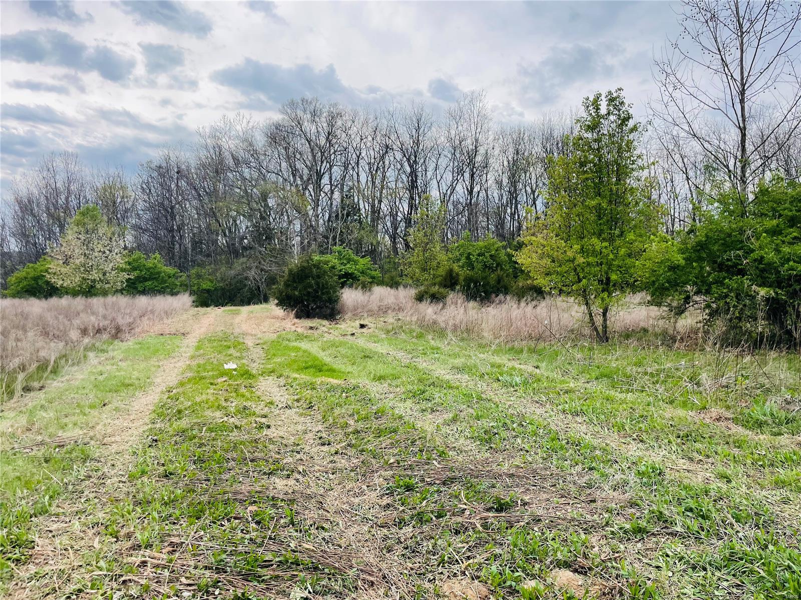 Homes for sale in Troy, MO | 0 Lot #4, 3 Acres East Hwy 47, Troy, MO 63379 | MLS# 25024237