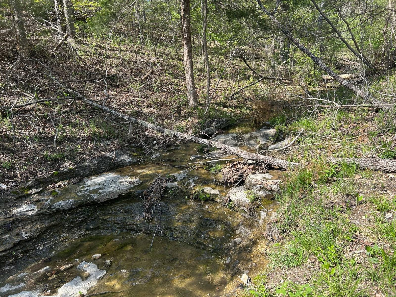 Homes for sale in Bourbon, MO | 2890 Plum Tree Rd Rd, Bourbon, MO 65441 | MLS# 25027308