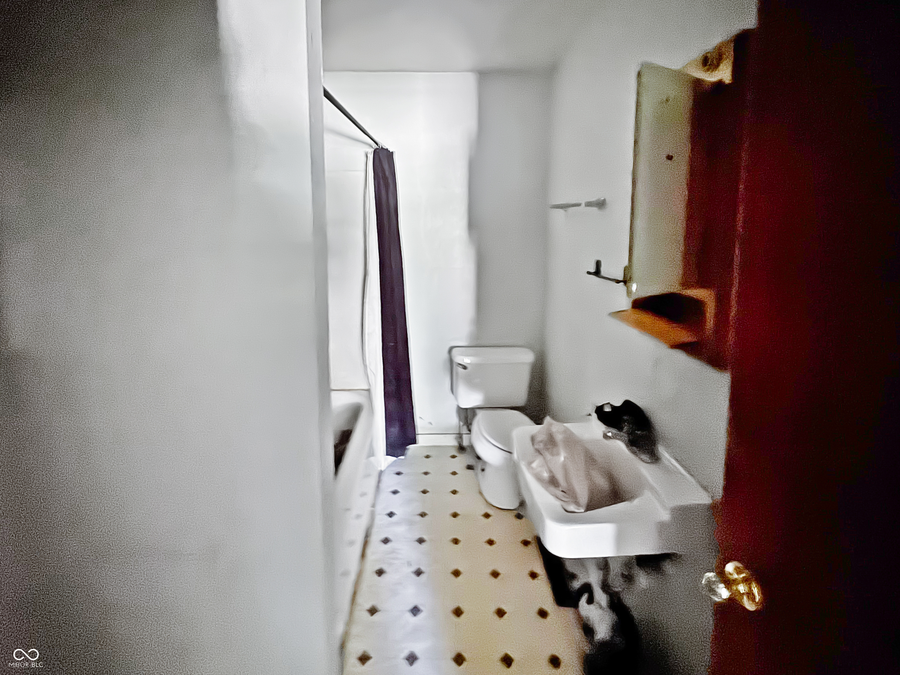 Homes for sale in Greenfield, IN | 29 Forest Ave, Greenfield, IN 46140 | MLS# 22054209