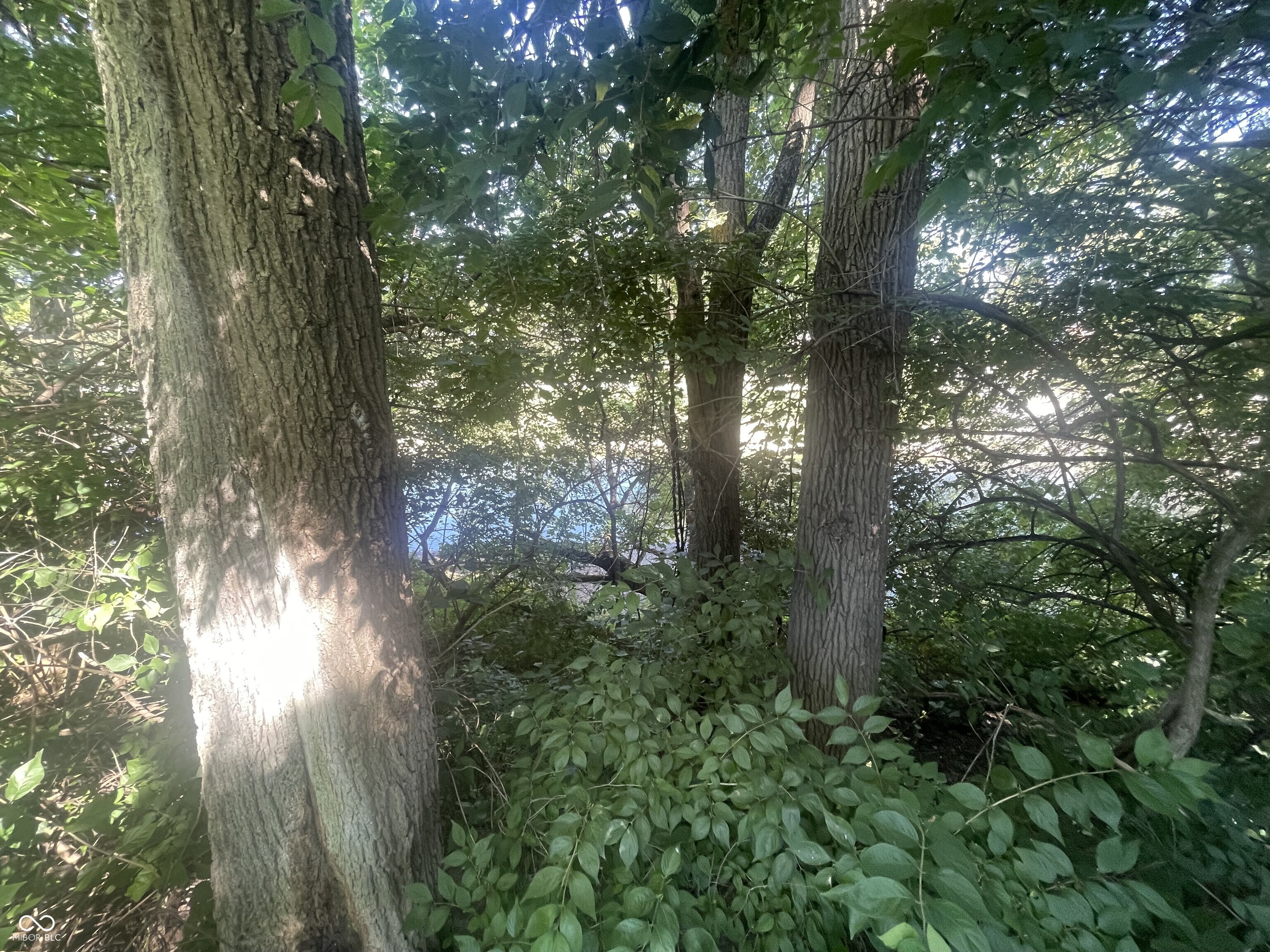 Homes for sale in Muncie, IN | 960 W Main St, Muncie, IN 47305 | MLS# 22059236