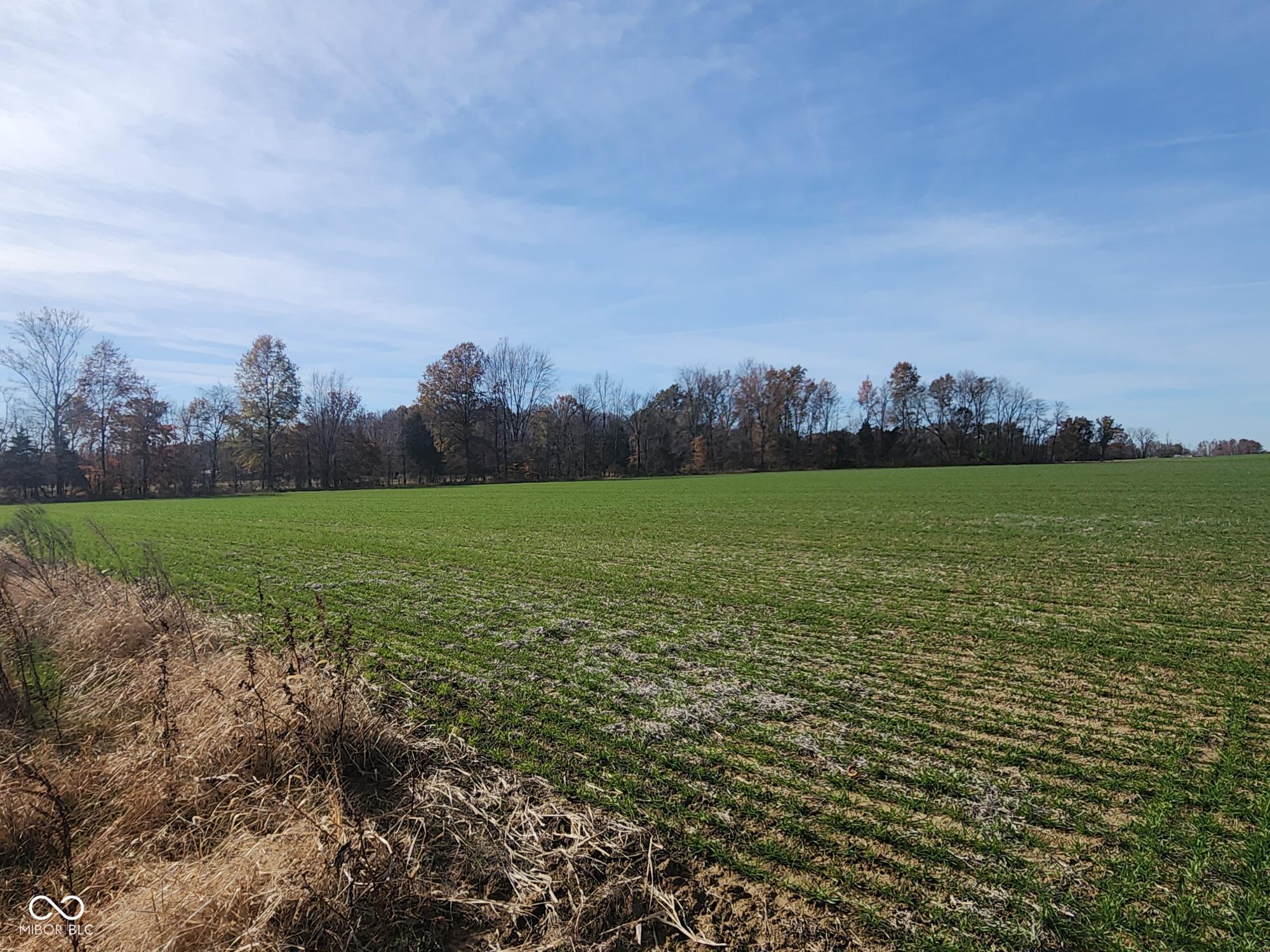 2nd image of 12614 E County Road 1000 N, Seymour, IN 47274 | MLS# 22072564