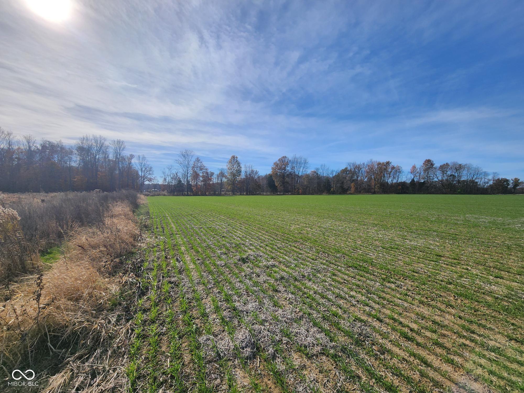 3rd image of 12614 E County Road 1000 N, Seymour, IN 47274 | MLS# 22072564