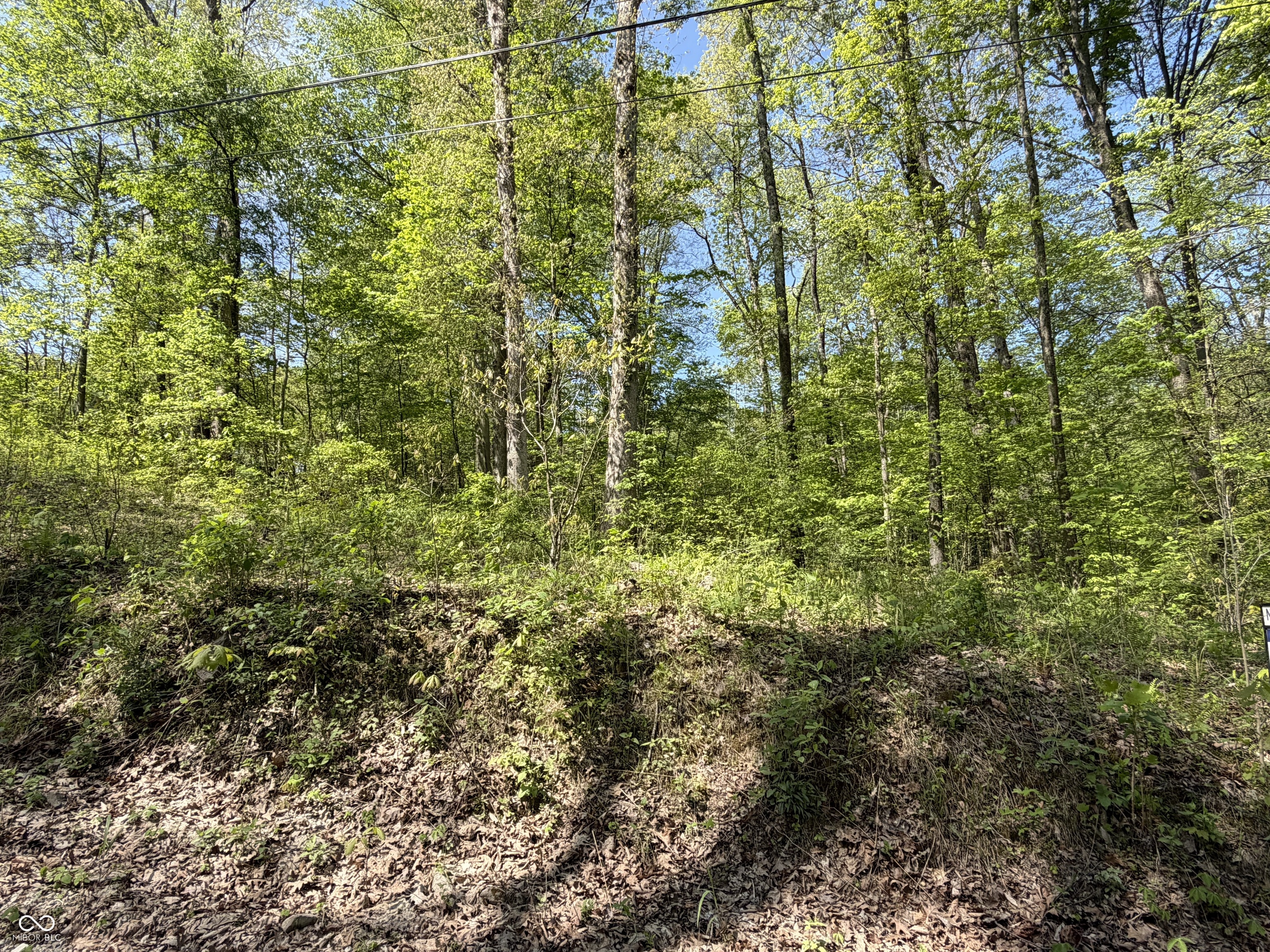 Homes for sale in Coal City, IN | 00 Straight Line Rd, Coal City, IN 47427 | MLS# 22097559