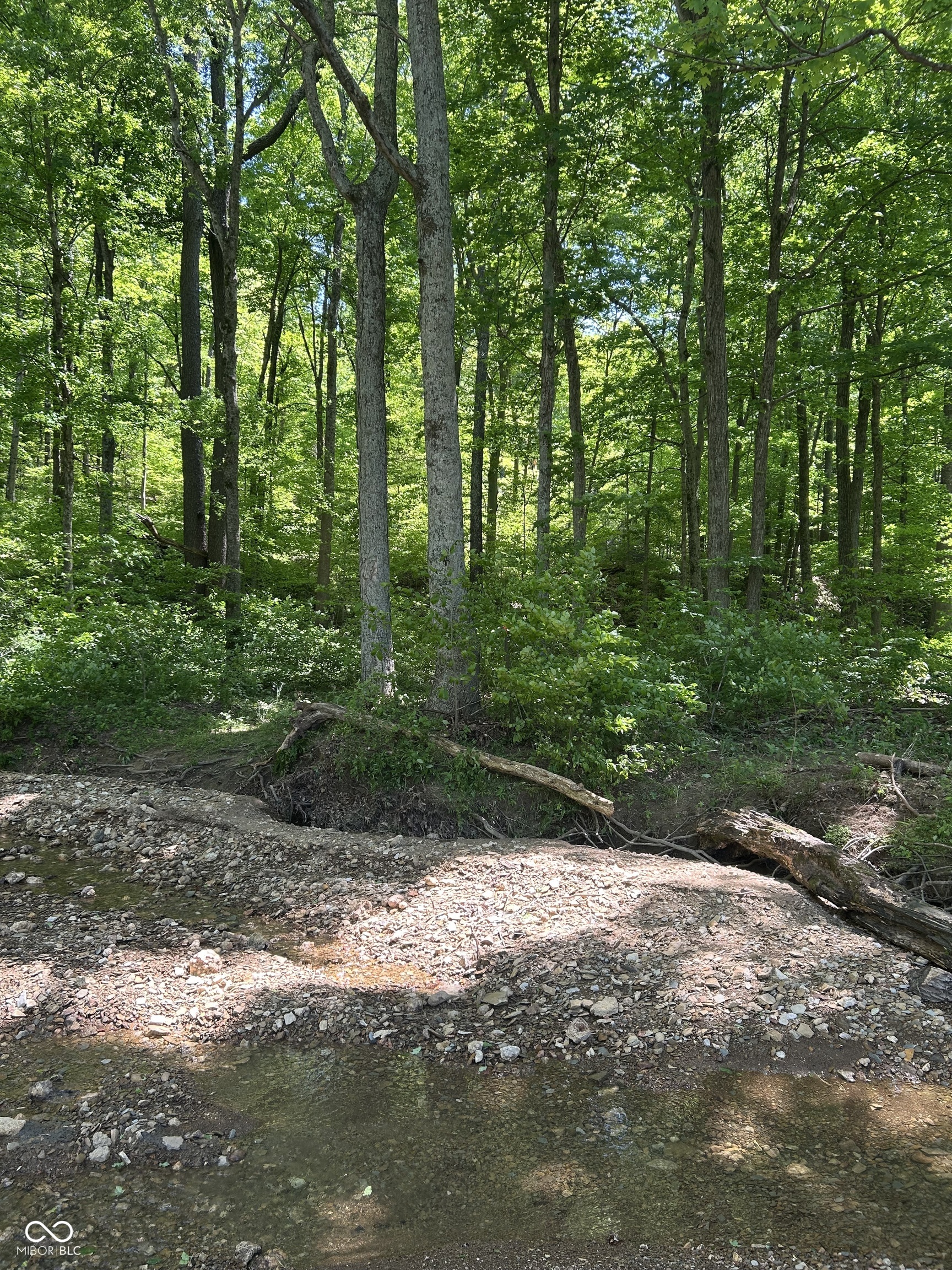 12th image of 0 W Goat Hollow Rd, Vallonia, IN 47281 | MLS# 22100094