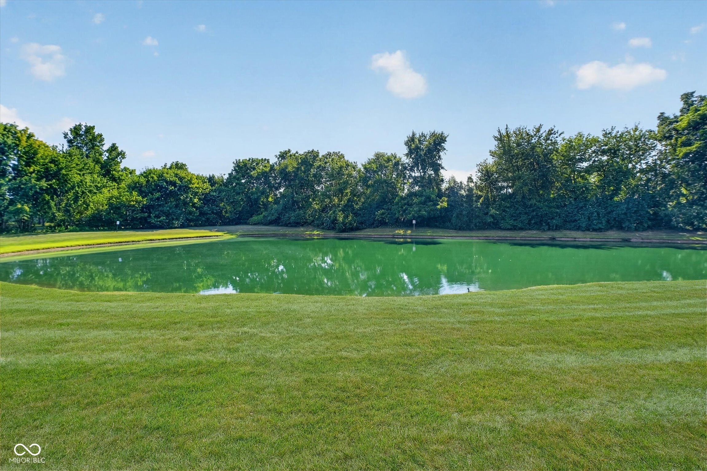 45th image of 788 Weeping Way Ln, Avon, IN 46123 | MLS# 22111283