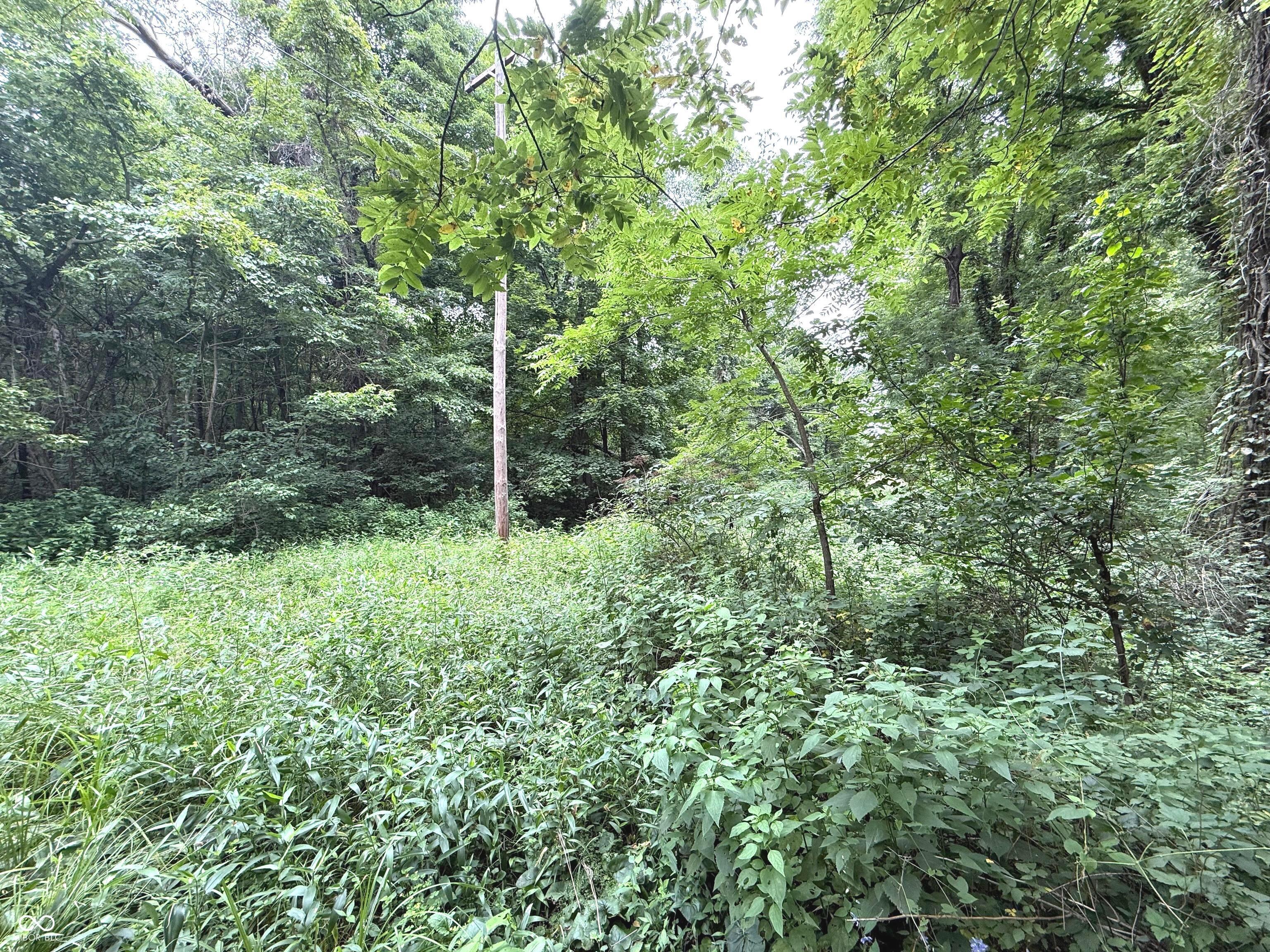 2nd image of 0 E Ferndale Rd, Rockville, IN 47872 | MLS# 22116510