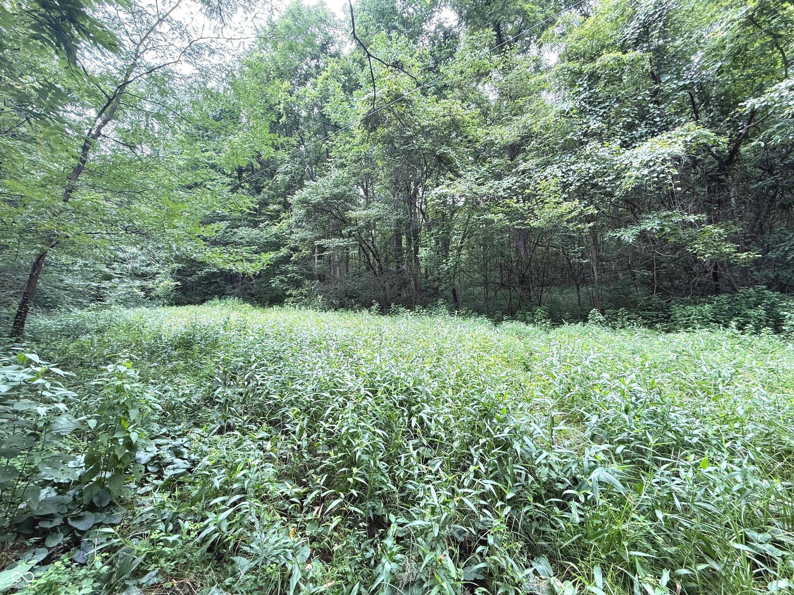 1st image of 0 E Ferndale Rd, Rockville, IN 47872 | MLS# 22116510
