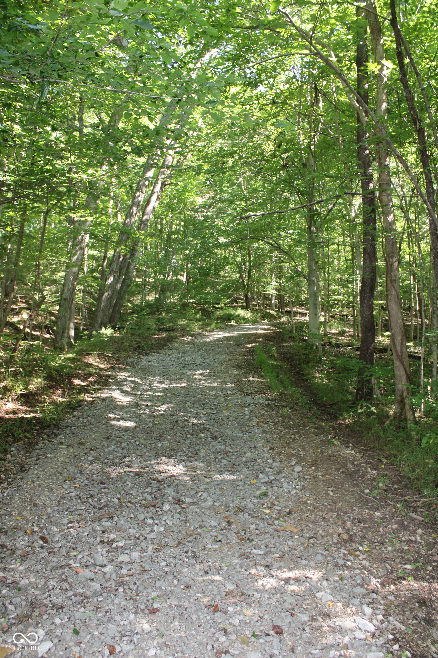 3rd image of 0 E Of Starr Rd, Campbellsburg, IN 47108 | MLS# 22118453