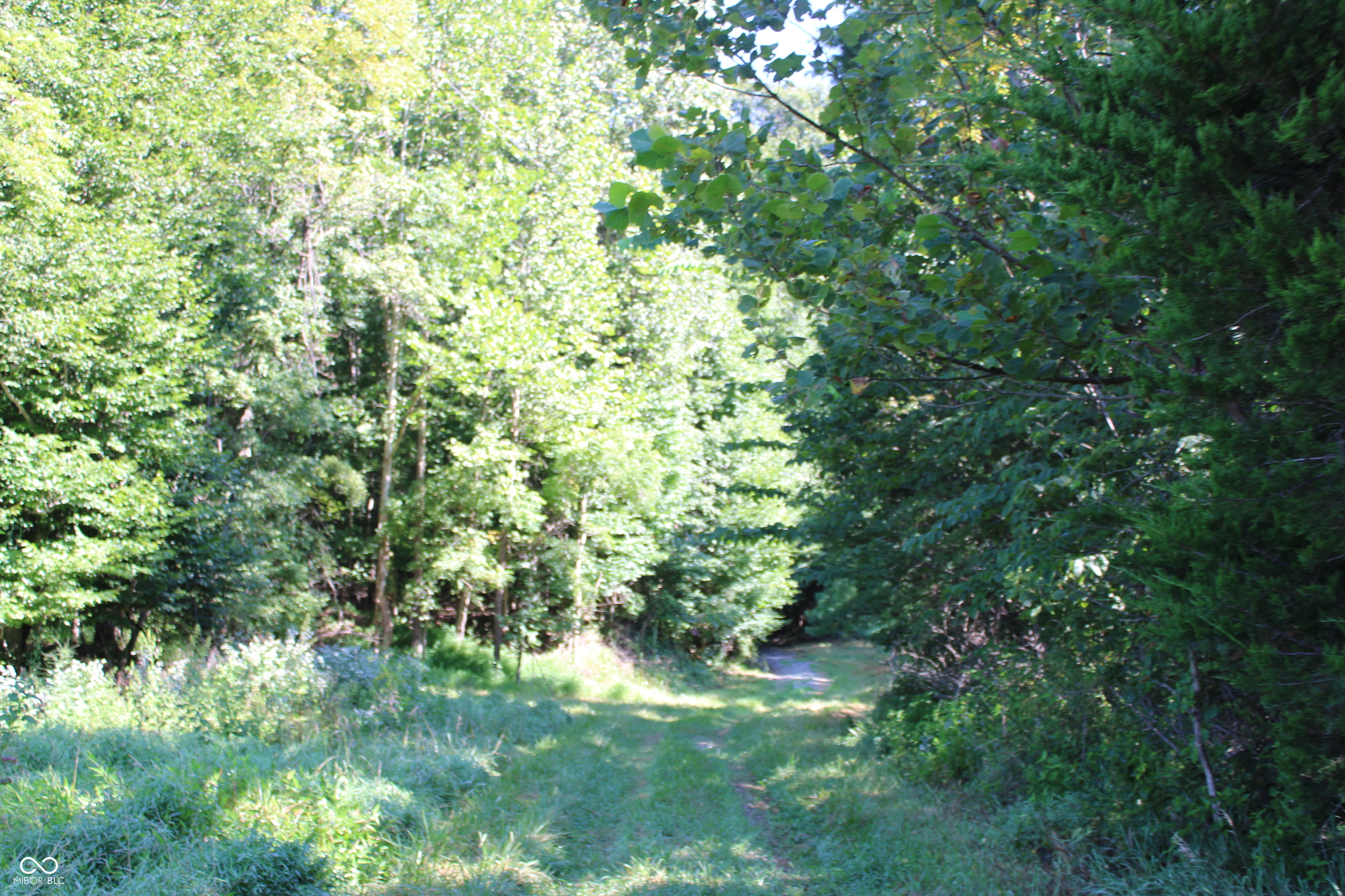 1st image of 0 E Of Starr Rd, Campbellsburg, IN 47108 | MLS# 22118453