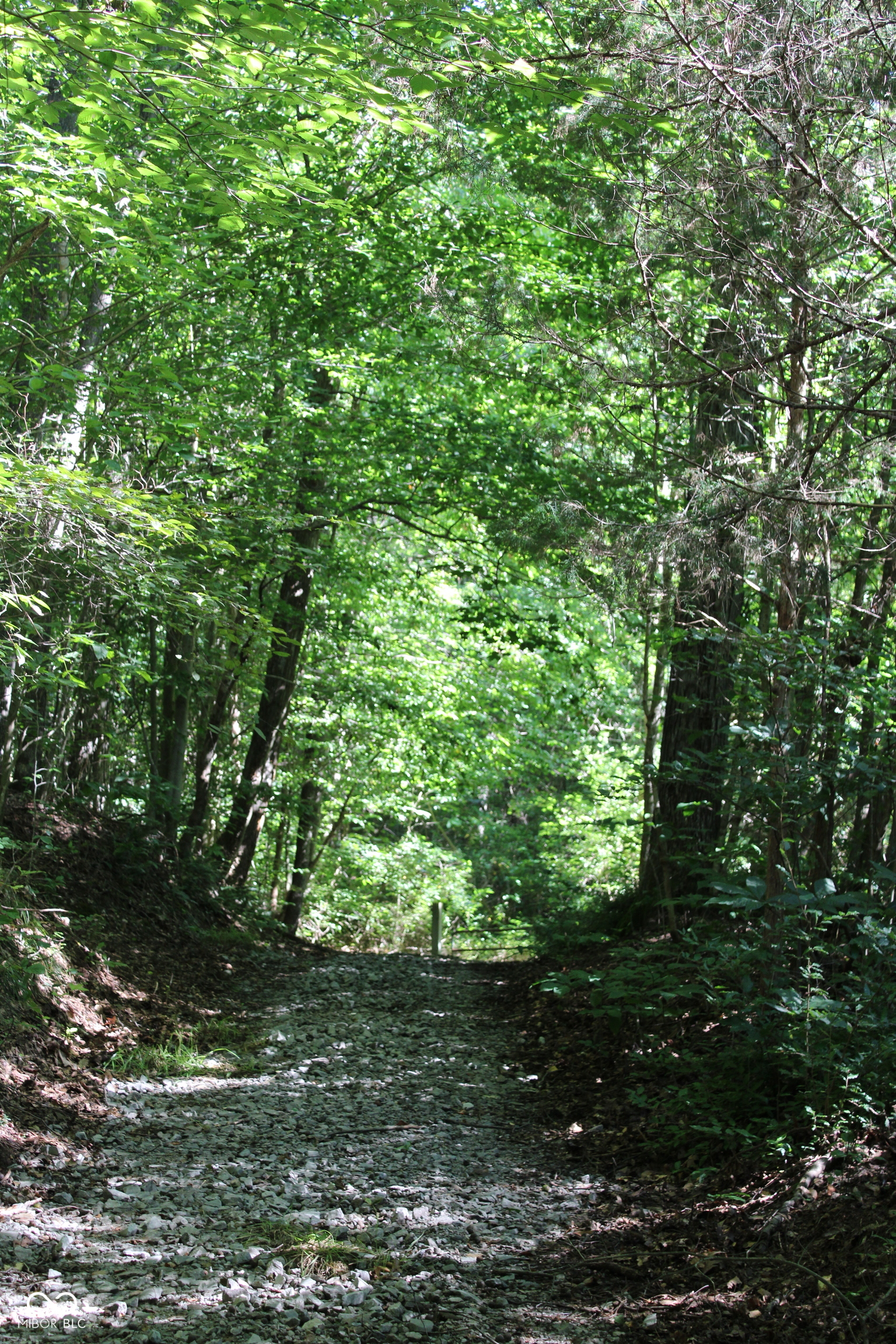2nd image of 0 E Of Starr Rd, Campbellsburg, IN 47108 | MLS# 22118453