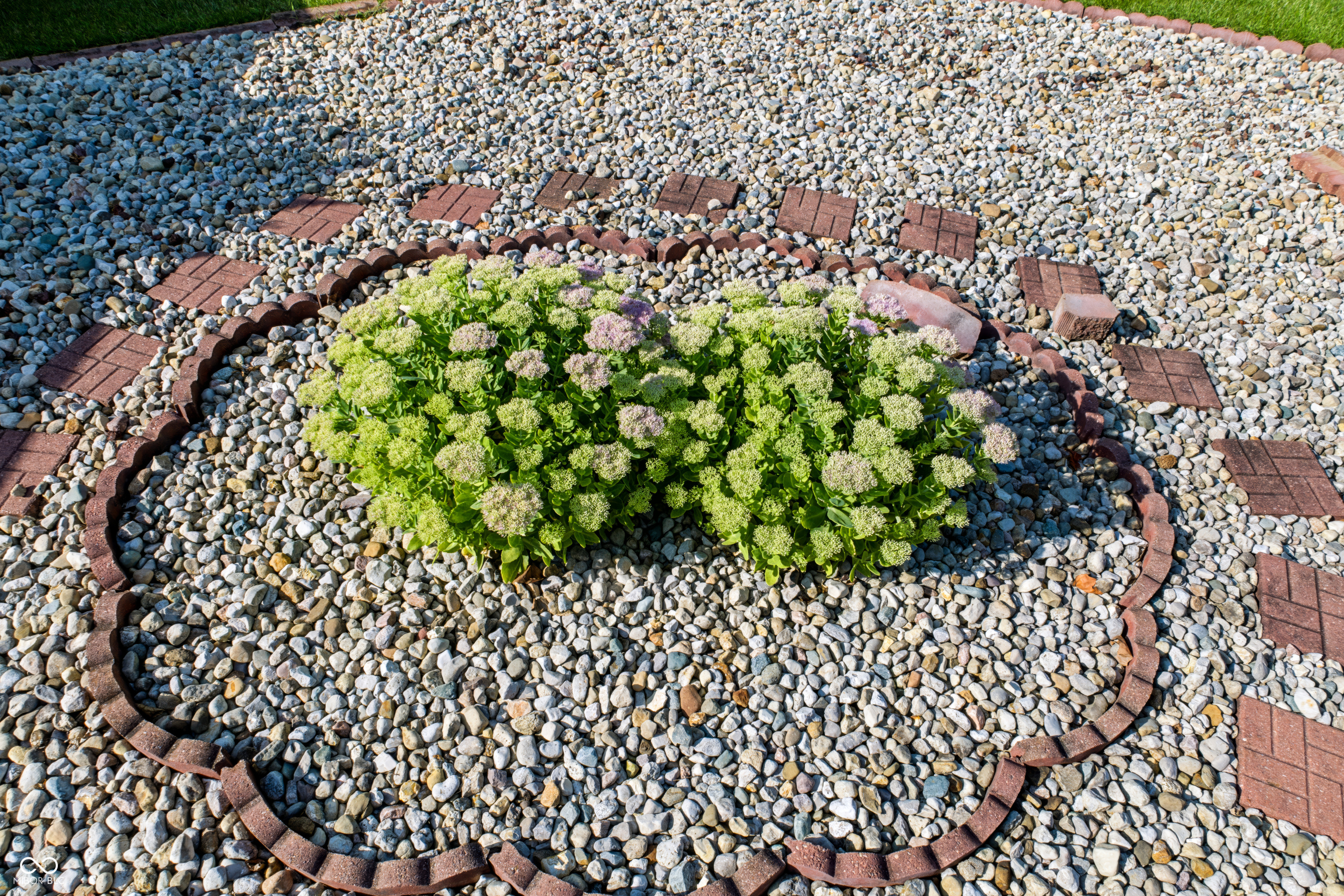 62nd image of 10934 Cyrus Dr, Indianapolis, IN 46231 | MLS# 22121952