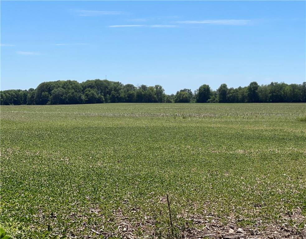 Homes for sale in Fortville, IN | 0 W 1050 S, Fortville, IN 46040 | MLS# 21866173