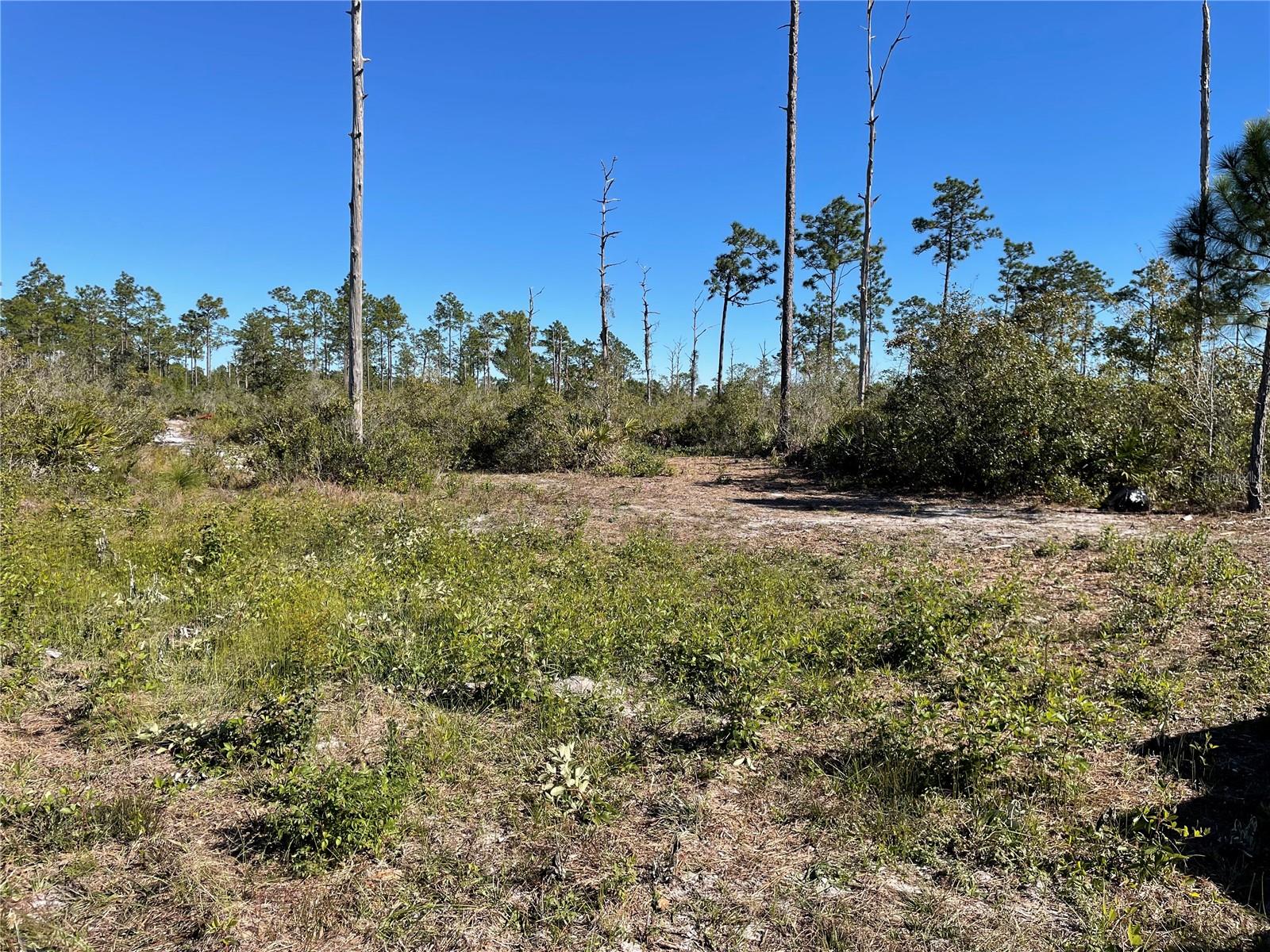 Homes for sale in Frostproof, FL | River Ranch, Frostproof, FL 33843 | MLS# L4934648