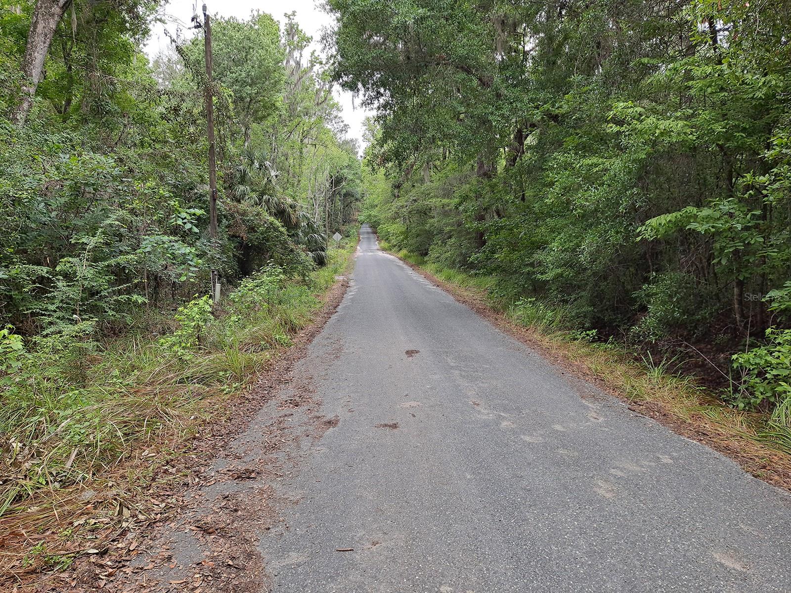 10th image of 9550 Nw 230 St E, Micanopy, FL 32667 | MLS# GC512488
