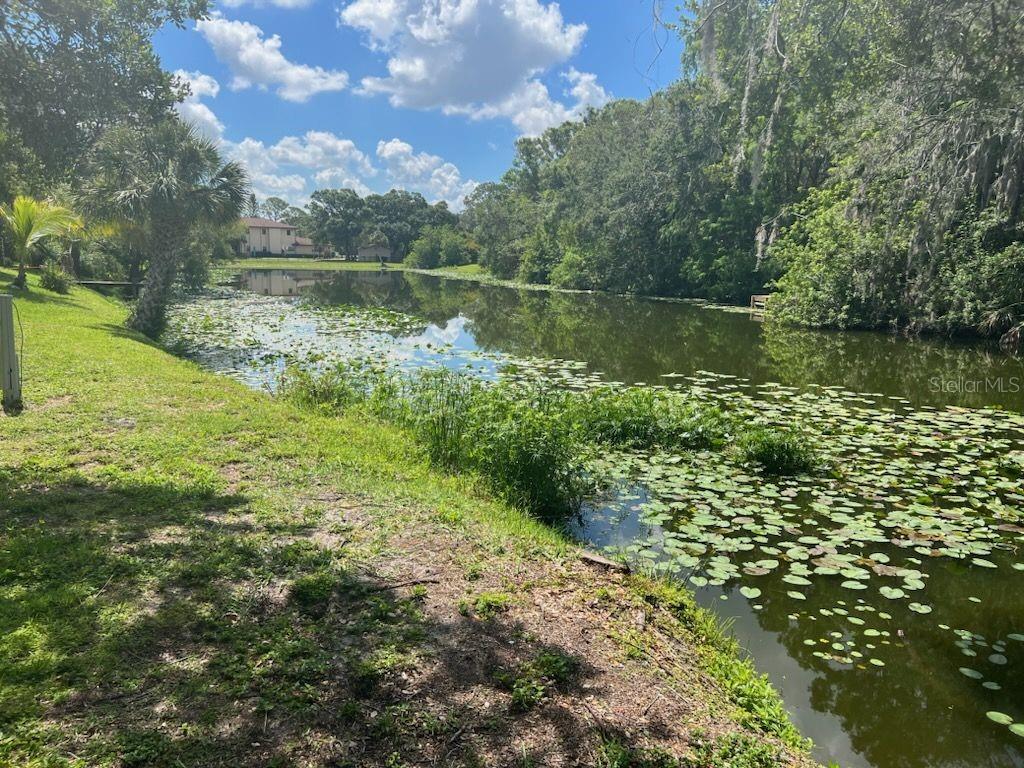 Homes for sale in Sarasota, FL | 4220 King Richard Ct, Sarasota, FL 34232 | MLS# T3493863