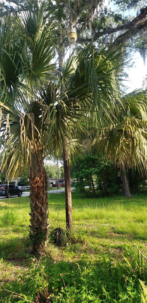 Homes for sale in Inverness, FL | 434 S Little John Ave, Inverness, FL 34450 | MLS# T3522396