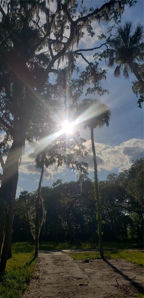 Homes for sale in Inverness, FL | 434 S Little John Ave, Inverness, FL 34450 | MLS# T3522396