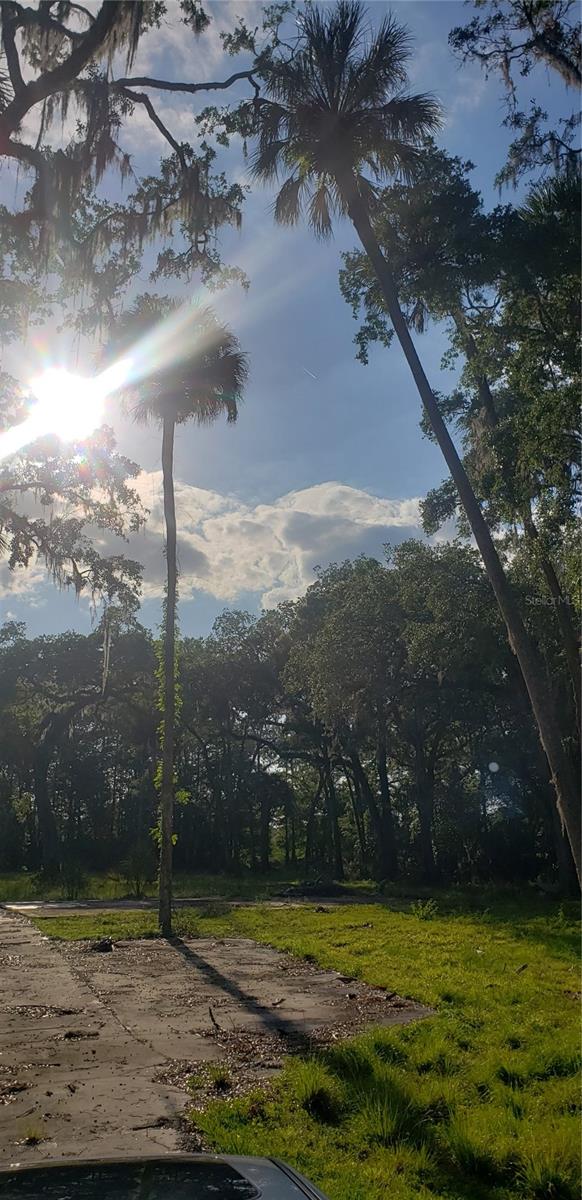 Homes for sale in Inverness, FL | 434 S Little John Ave, Inverness, FL 34450 | MLS# T3522396