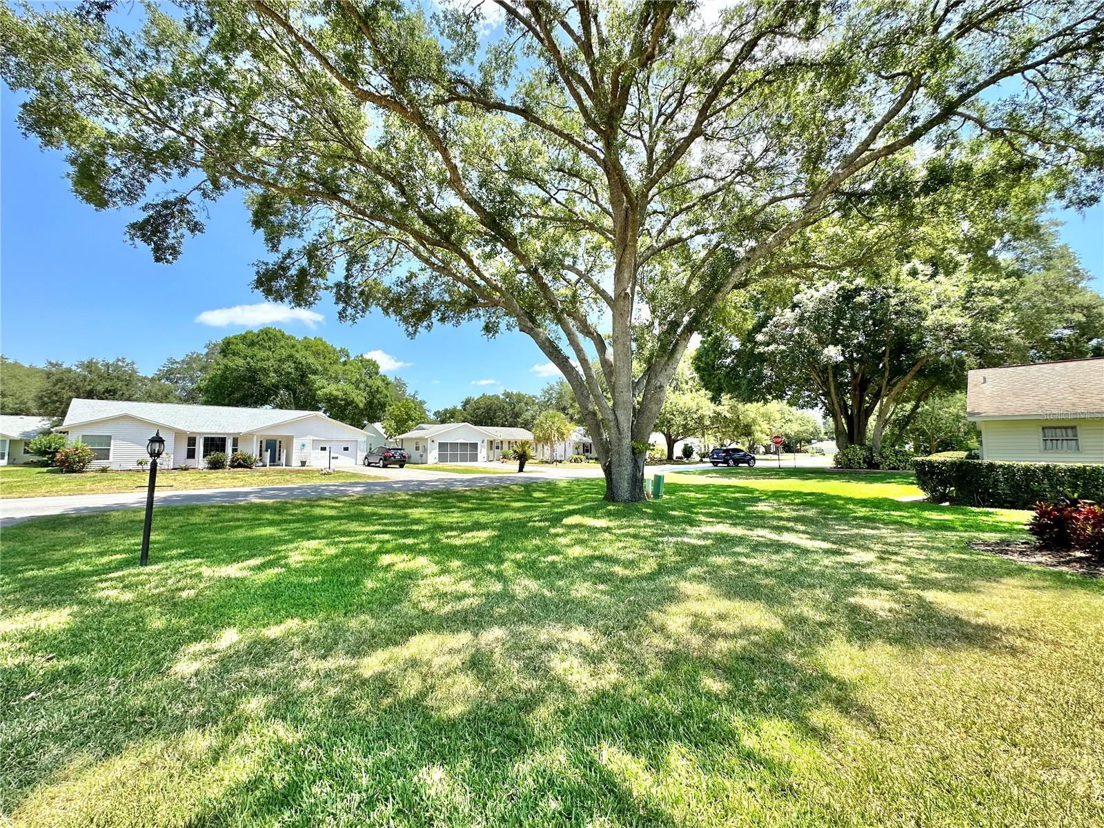 Homes for sale in Leesburg, FL | 2224 Orkney Dr, Leesburg, FL 34788 | MLS# G5082020