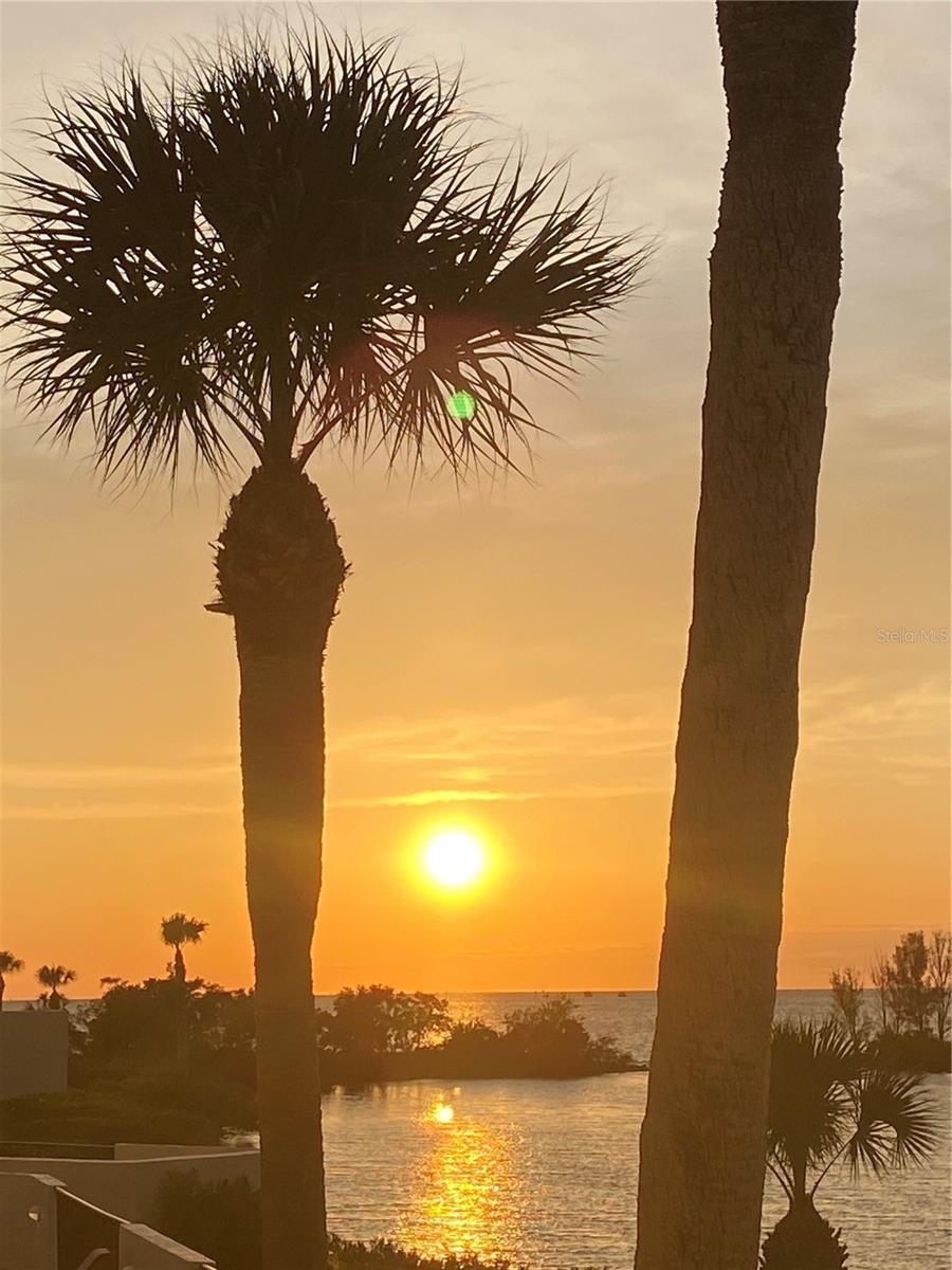 Homes for sale in Hudson, FL | 6035 Sea Ranch Dr #215, Hudson, FL 34667 | MLS# S5120510