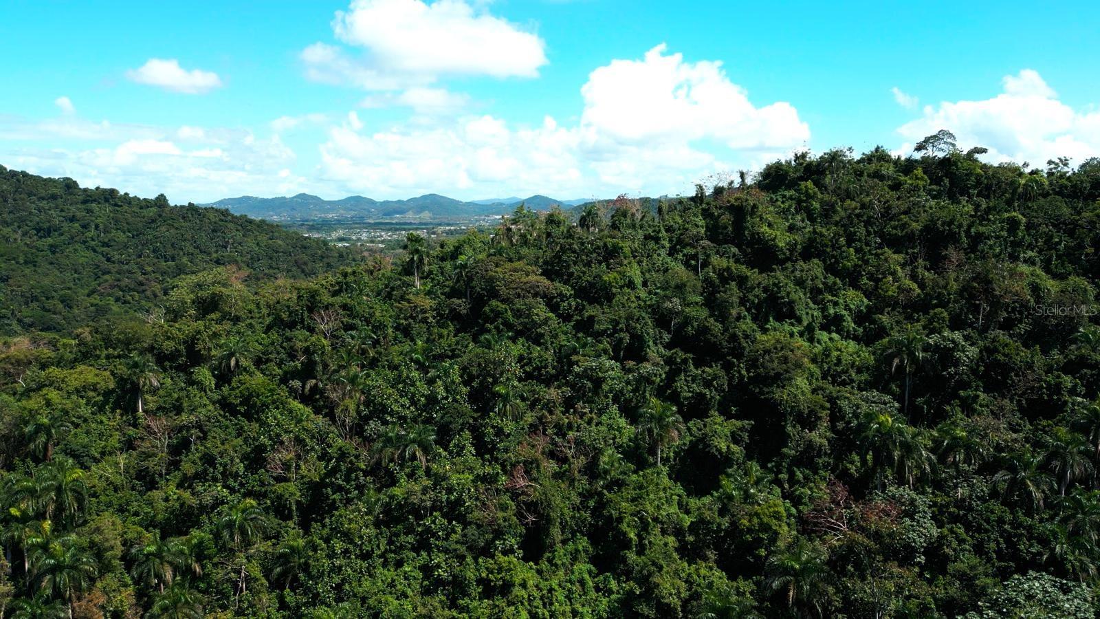 Homes for sale in Caguas, PR | 175 Bo San Antonio, Caguas, PR 00725 | MLS# PR9112189