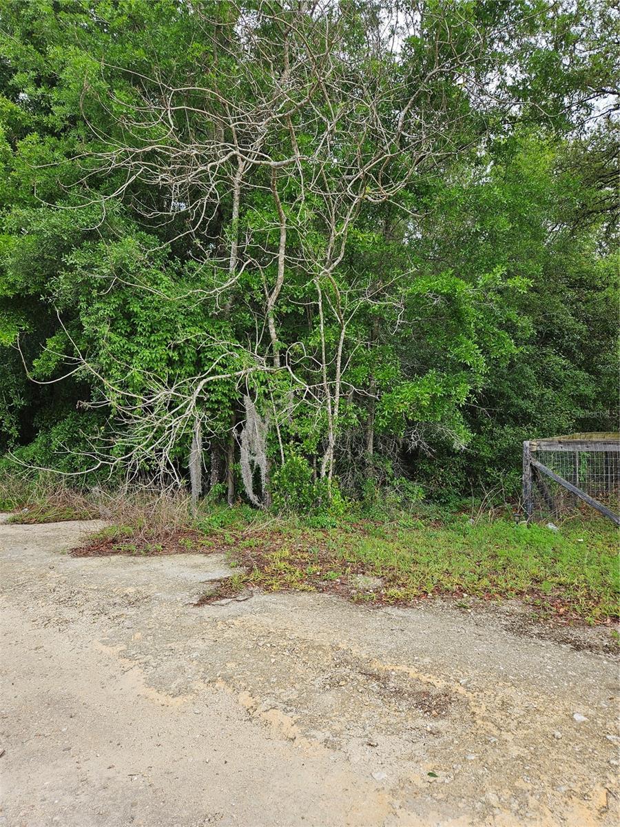 Homes for sale in Morriston, FL | Tbd Se 74Th Pl, Morriston, FL 32668 | MLS# OM698891