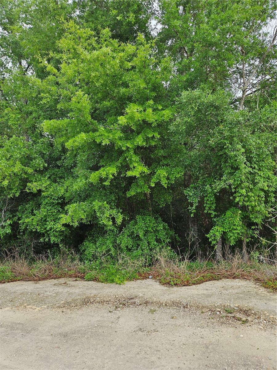 Homes for sale in Morriston, FL | Tbd Se 74Th Pl, Morriston, FL 32668 | MLS# OM698891