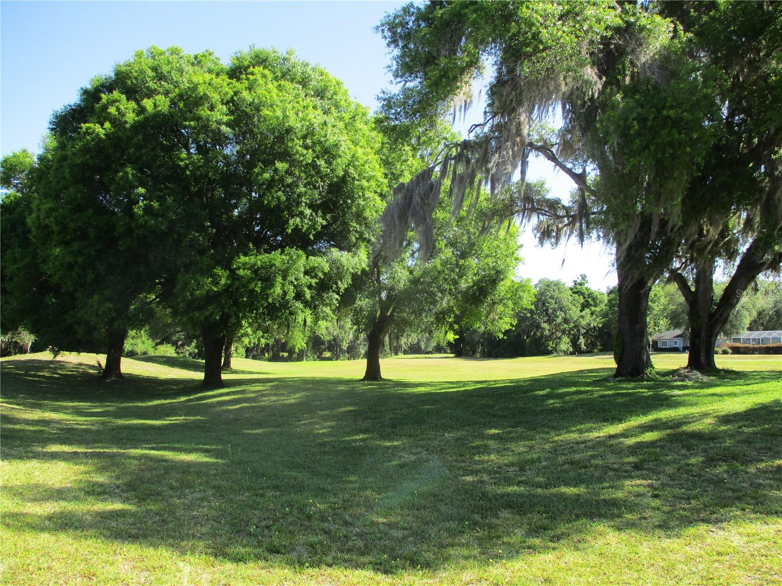 Homes for sale in Dunnellon, FL | 13675 Sw 111Th Ave, Dunnellon, FL 34432 | MLS# OM699881