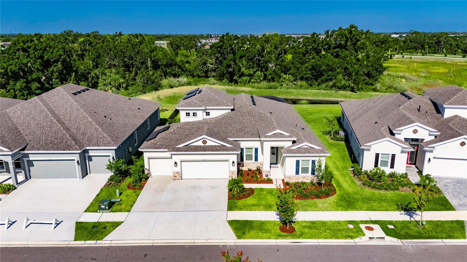 Homes for sale in Apollo Beach, FL | 6253 Hidden Branch Dr, Apollo Beach, FL 33572 | MLS# TB8379410