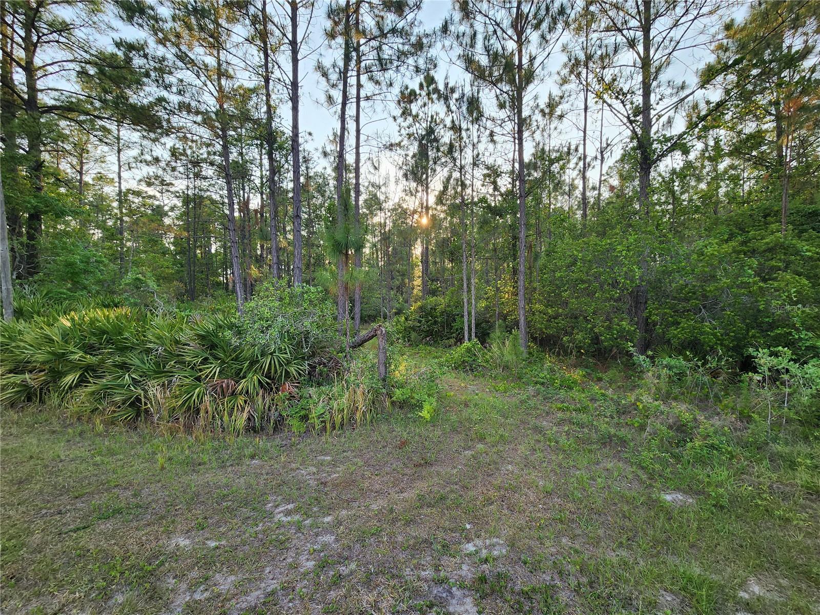 Homes for sale in Eustis, FL | Lot 8 Tamarac St, Eustis, FL 32736 | MLS# O6305779