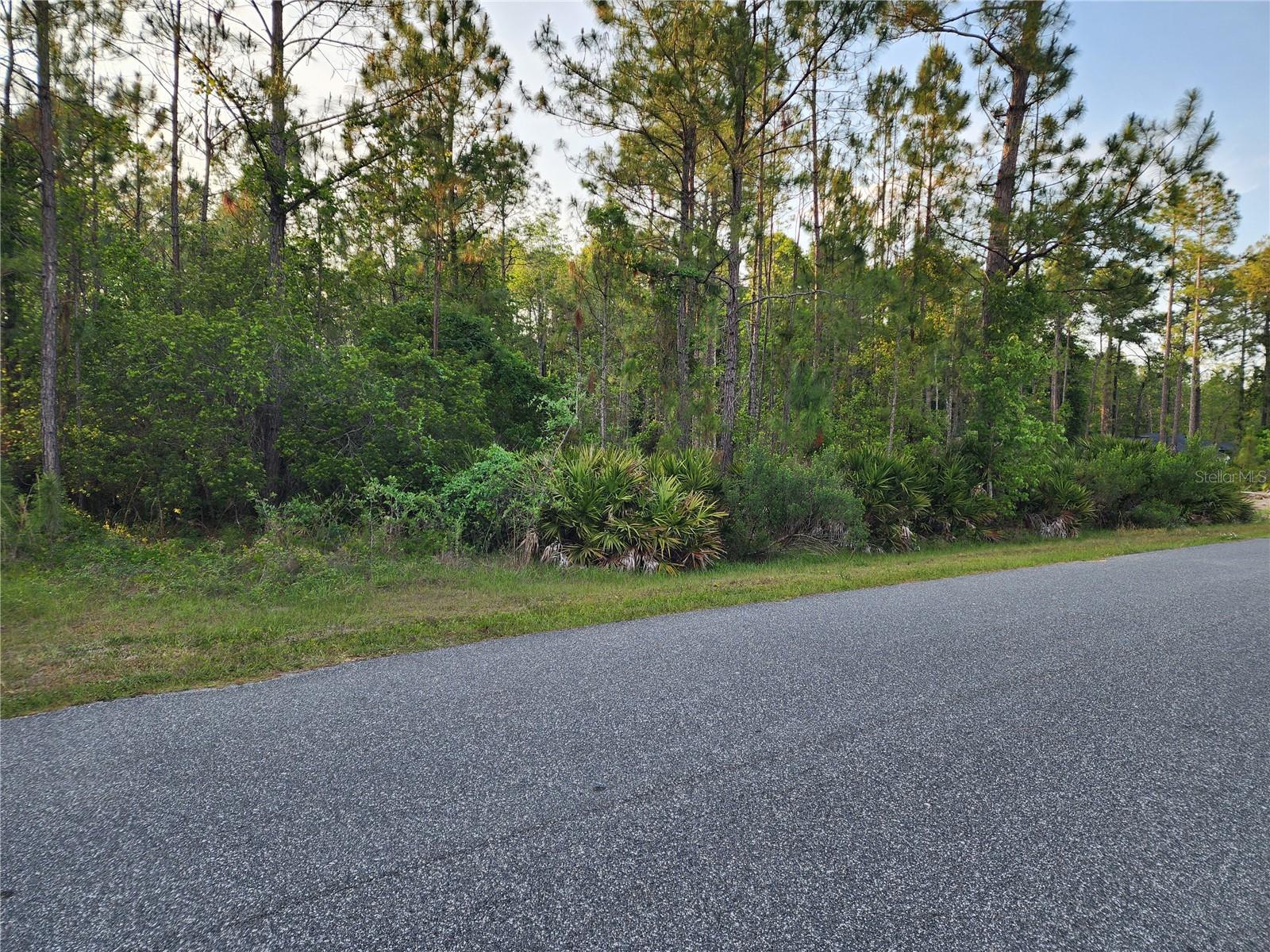 Homes for sale in Eustis, FL | Lot 8 Tamarac St, Eustis, FL 32736 | MLS# O6305779