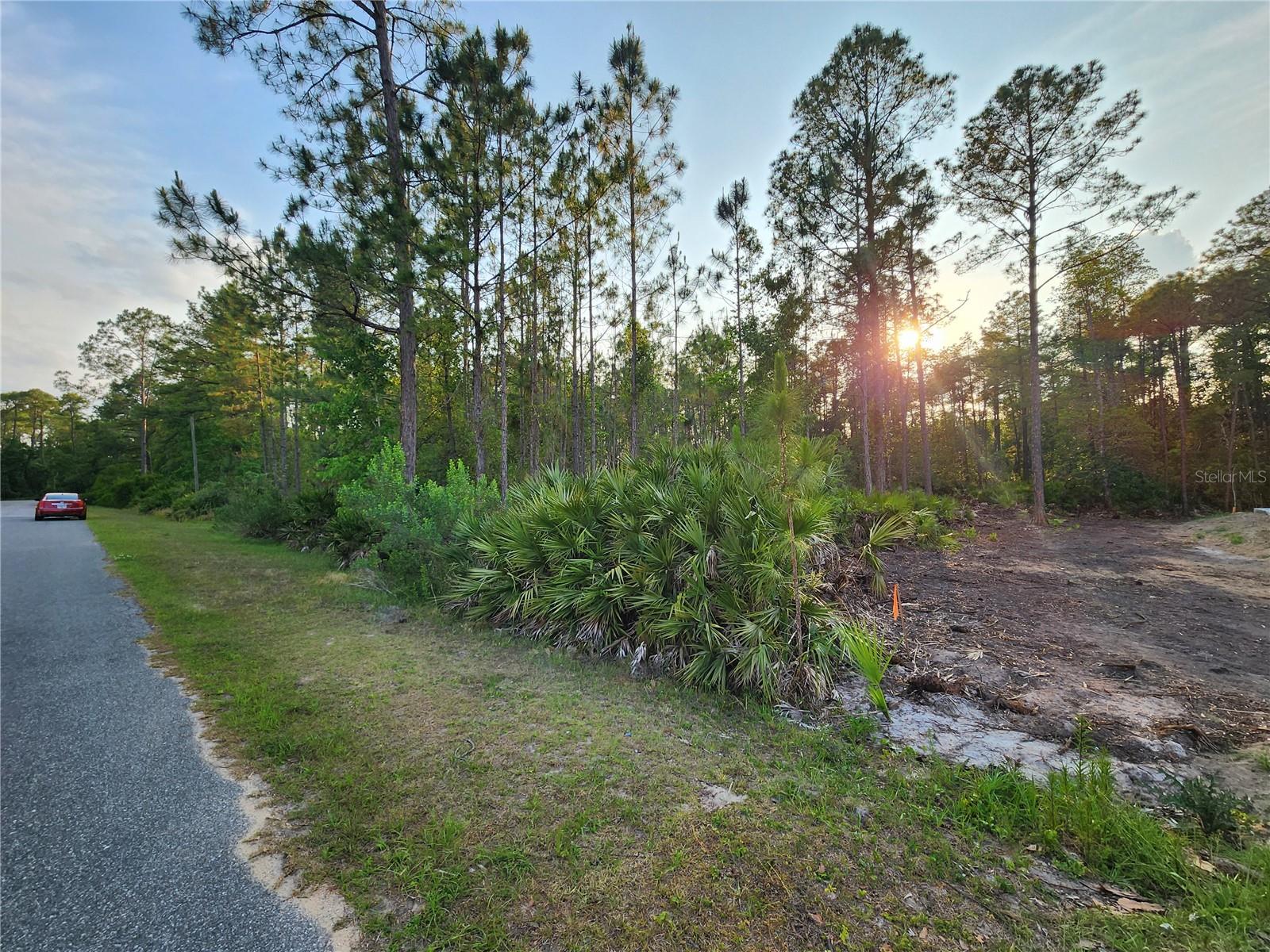 Homes for sale in Eustis, FL | Lot 8 Tamarac St, Eustis, FL 32736 | MLS# O6305779