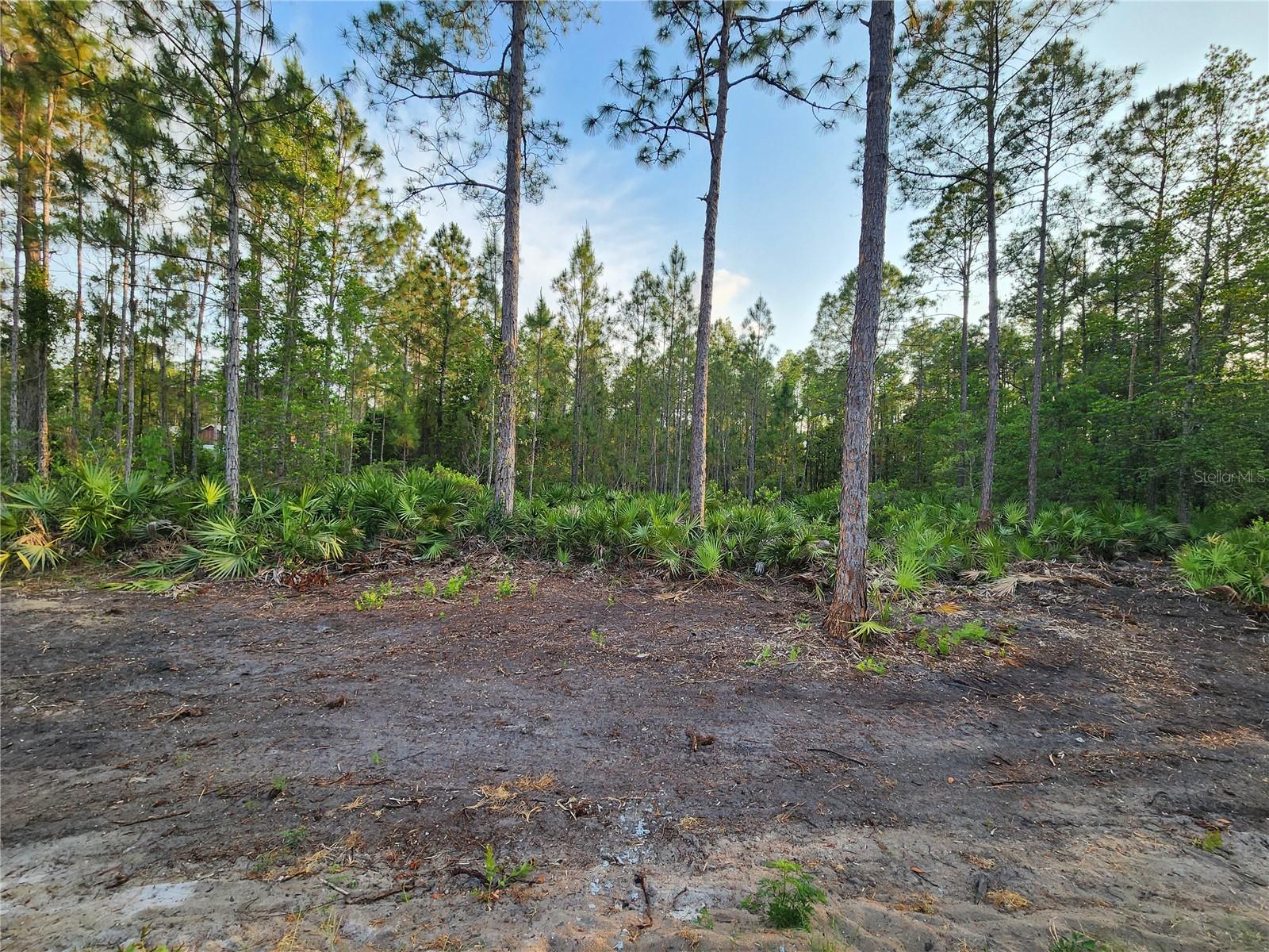 Homes for sale in Eustis, FL | Lot 8 Tamarac St, Eustis, FL 32736 | MLS# O6305779