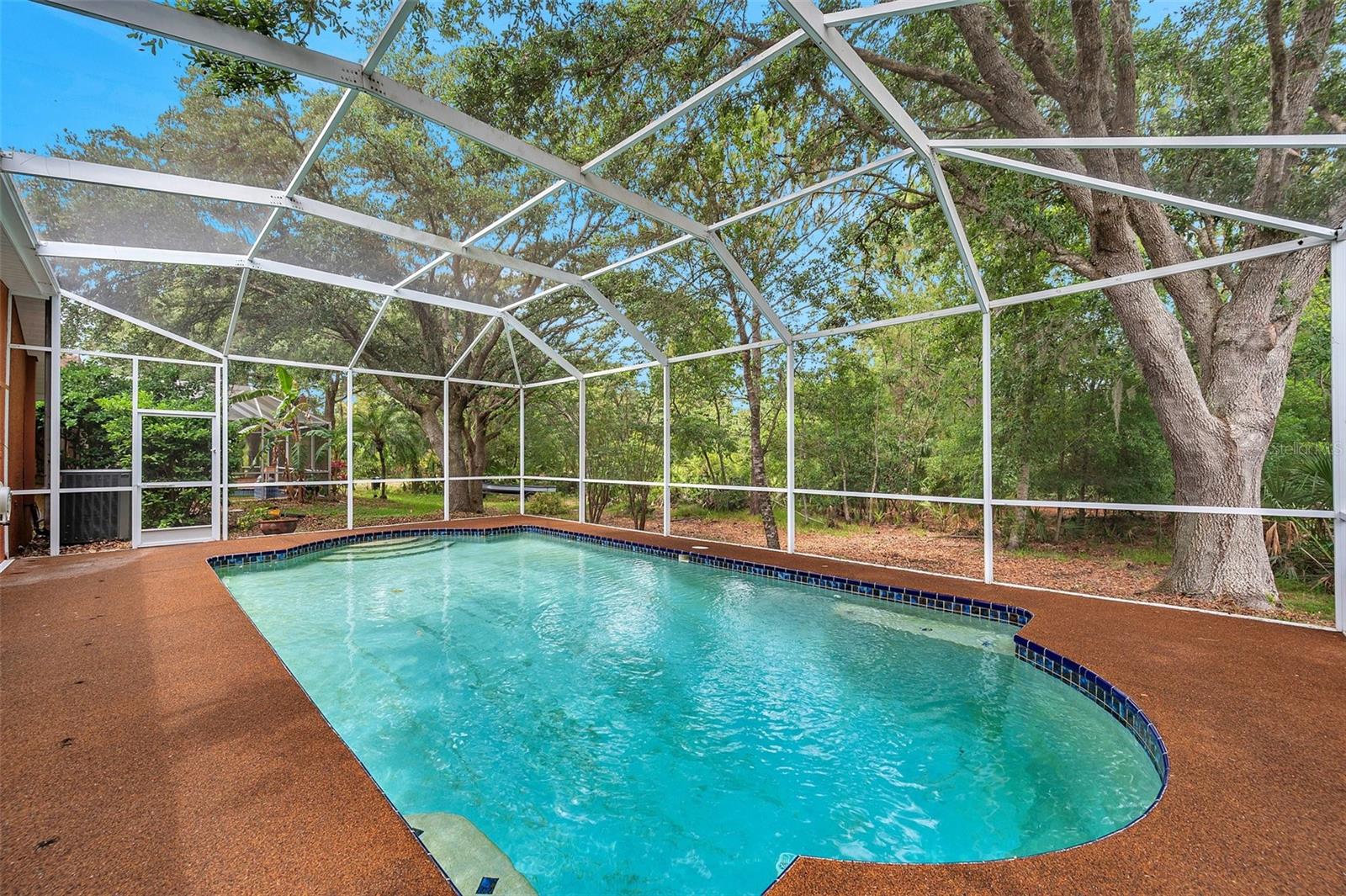 Homes for sale in Tampa, FL | 19156 Dove Creek Dr, Tampa, FL 33647 | MLS# TB8385689