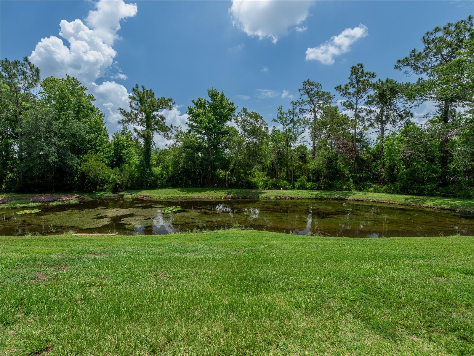 Homes for sale in Tampa, FL | 19137 Lake Audubon Dr, Tampa, FL 33647 | MLS# TB8388275