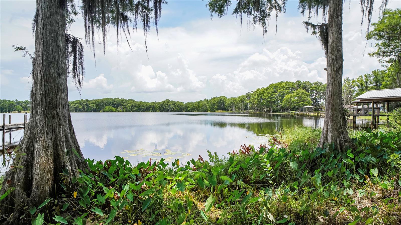 Homes for sale in Land O Lakes, FL | 10818 Land O Lakes Blvd, Land O Lakes, FL 34638 | MLS# TB8390412