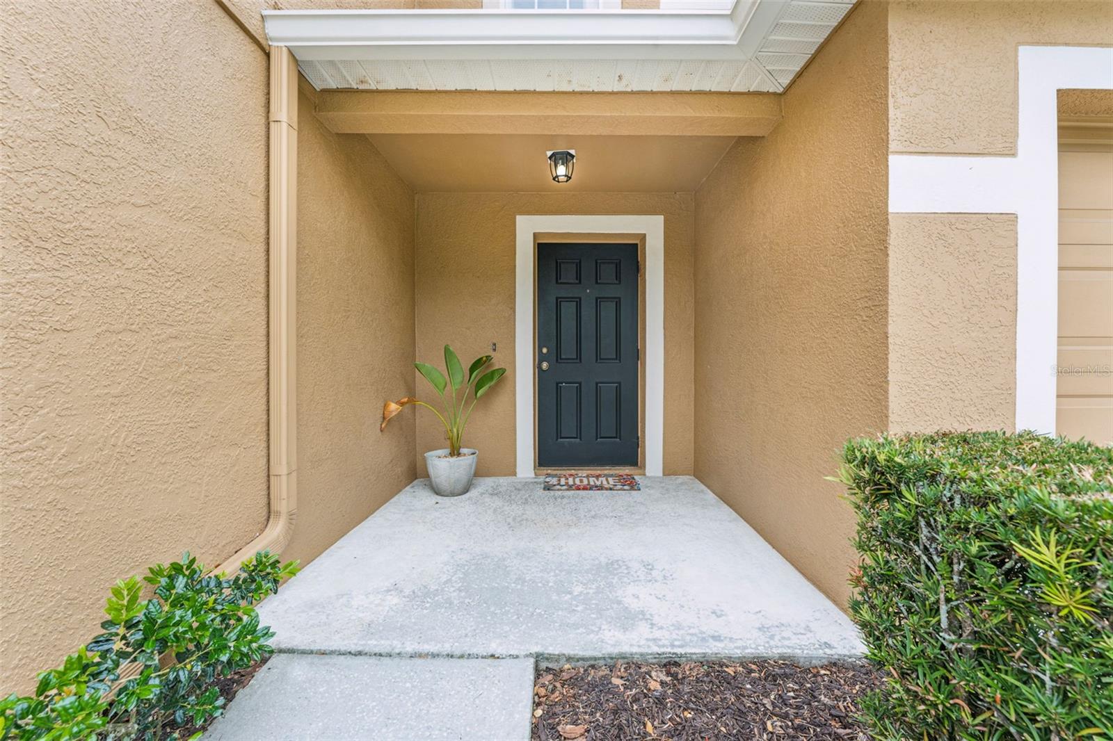 Homes for sale in Land O Lakes, FL | 4149 Winding River Way, Land O Lakes, FL 34639 | MLS# TB8393117