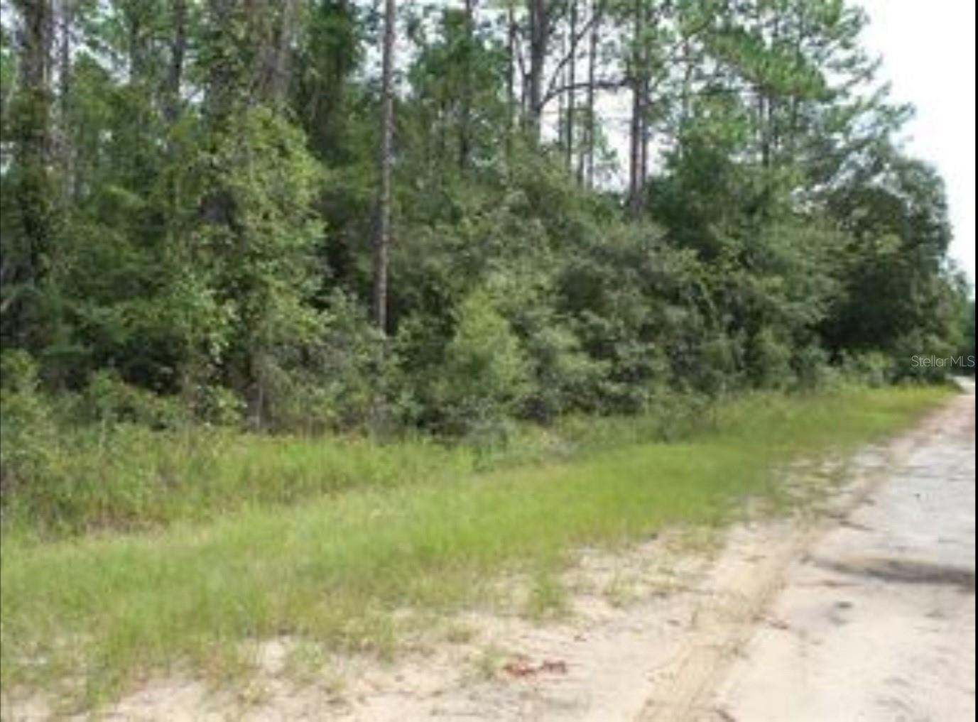 Homes for sale in Bronson, FL | 10381 Ne 81St St, Bronson, FL 32621 | MLS# G5097997