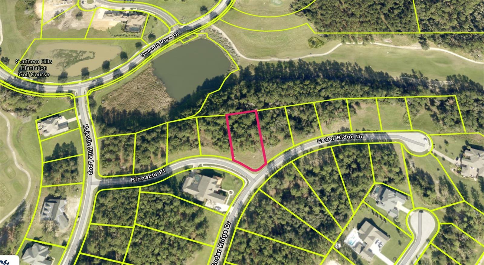 Homes for sale in Brooksville, FL | 19897 Pinnacle Pl, Brooksville, FL 34601 | MLS# TB8394426