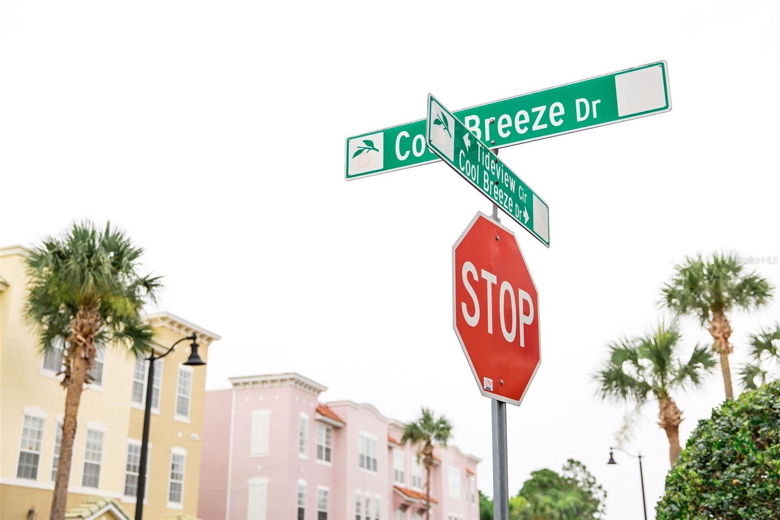 Homes for sale in Orlando, FL | 8024 Cool Breeze Dr #132, Orlando, FL 32819 | MLS# O6316477