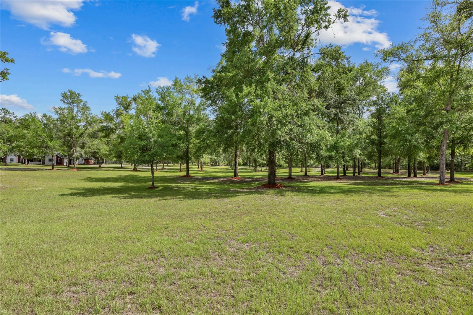 Homes for sale in Fort White, FL | 1827 Sw Shiloh St, Fort White, FL 32038 | MLS# GC531577