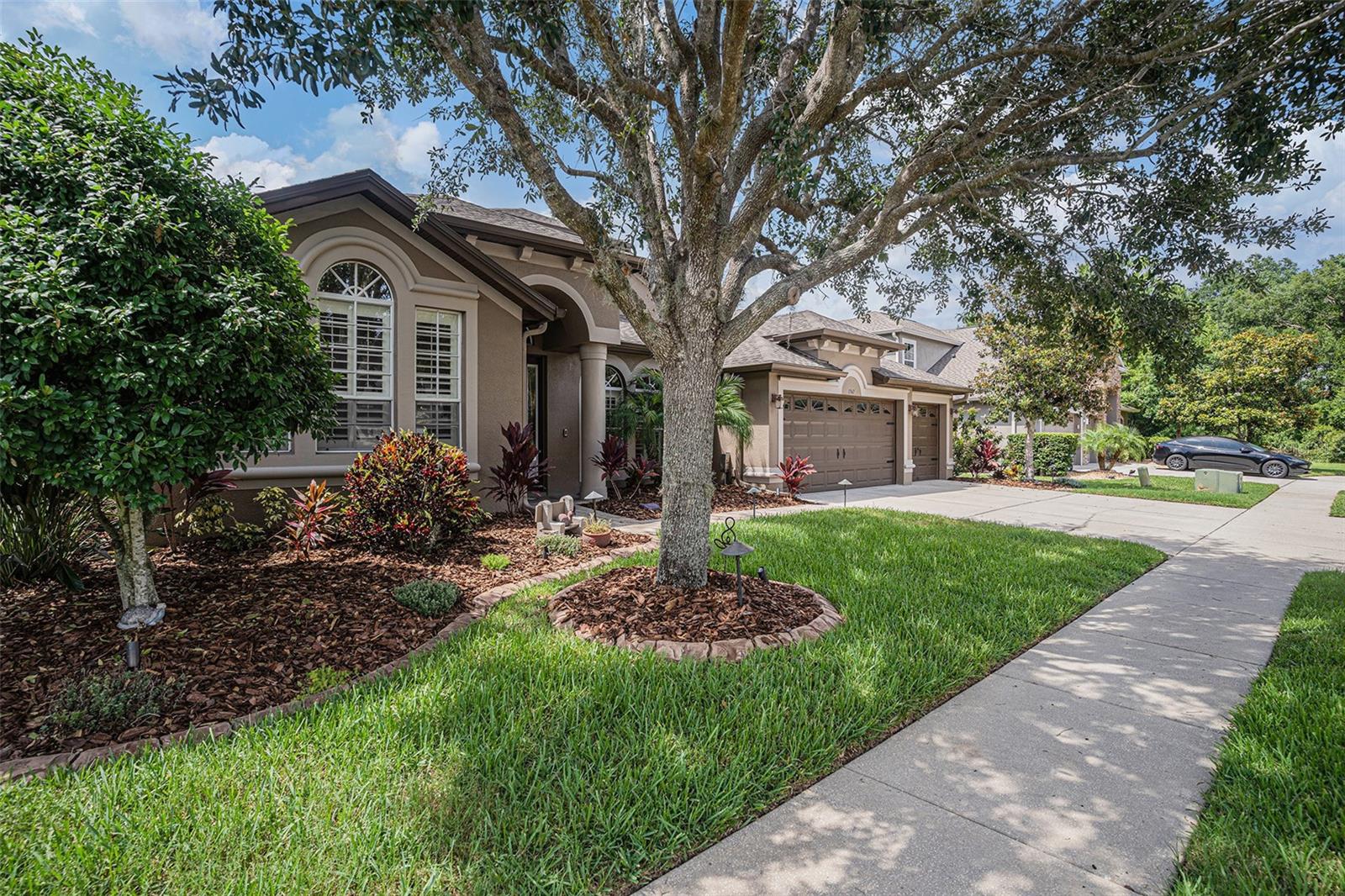 Homes for sale in Wesley Chapel, FL | 1342 Salmonberry St, Wesley Chapel, FL 33543 | MLS# TB8394829