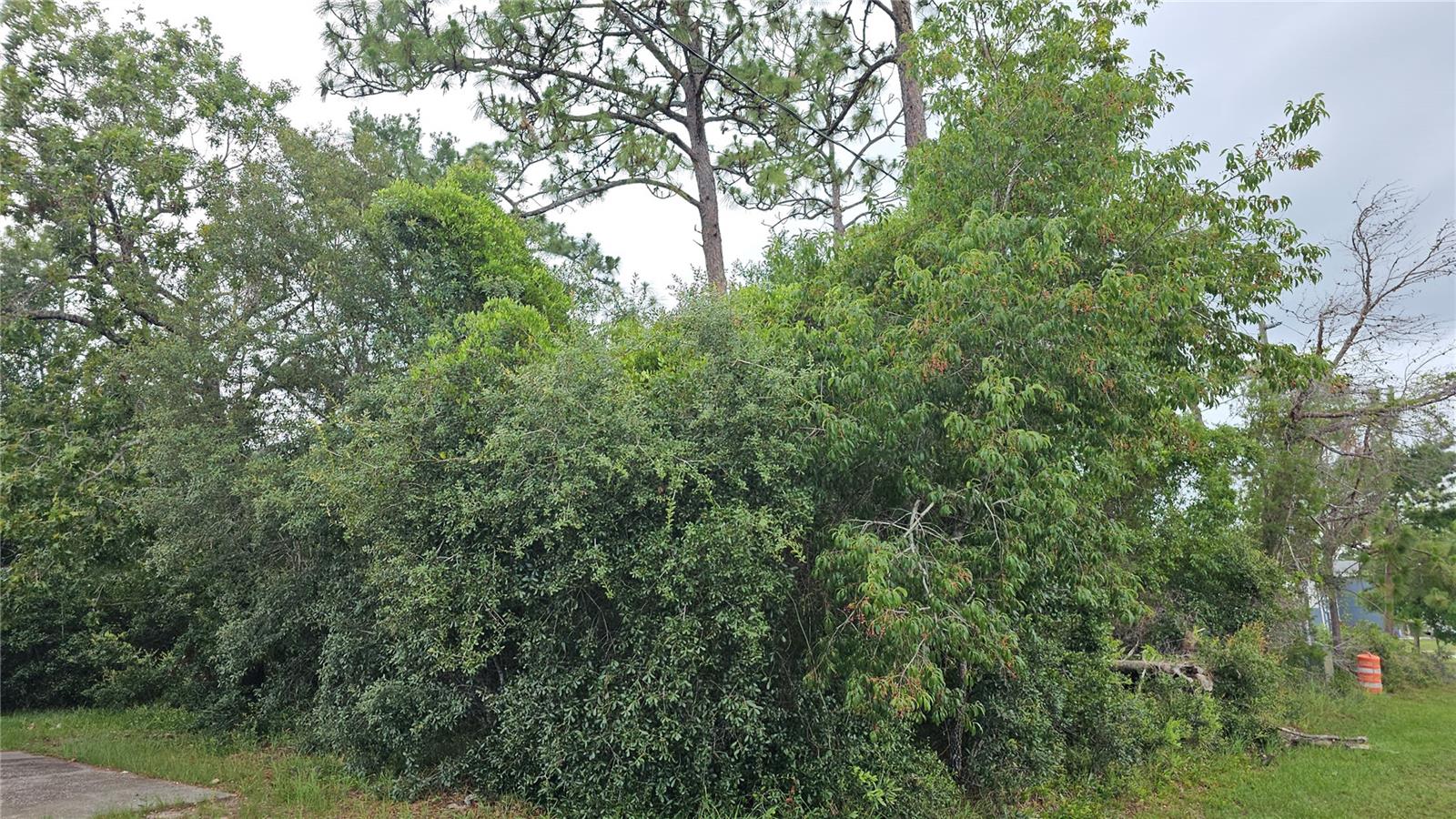 Homes for sale in Deltona, FL | 1349 Lodge Ter, Deltona, FL 32738 | MLS# V4943176